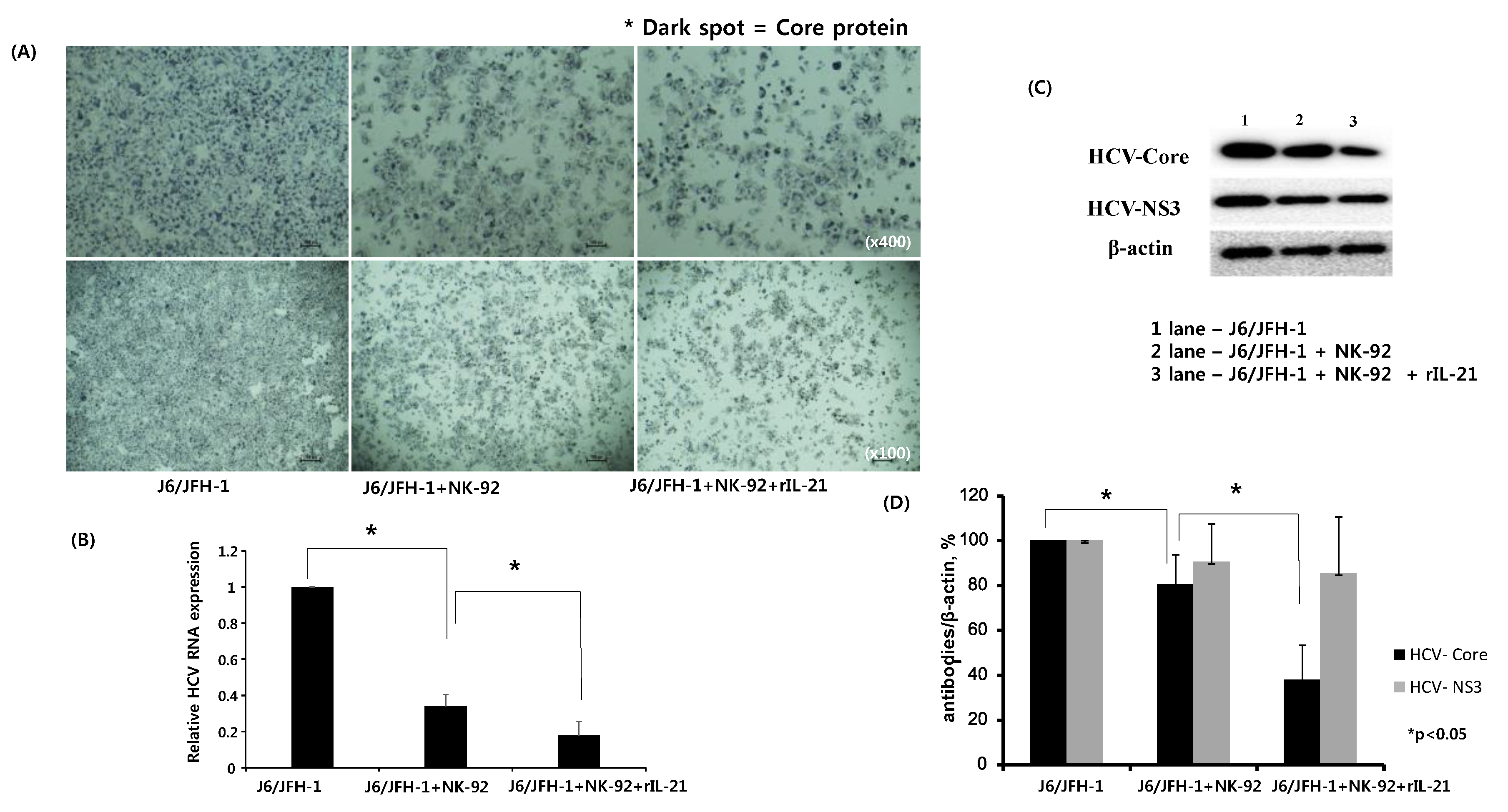 Ijms 19 02771 g005 Ijms 19 02771 g005