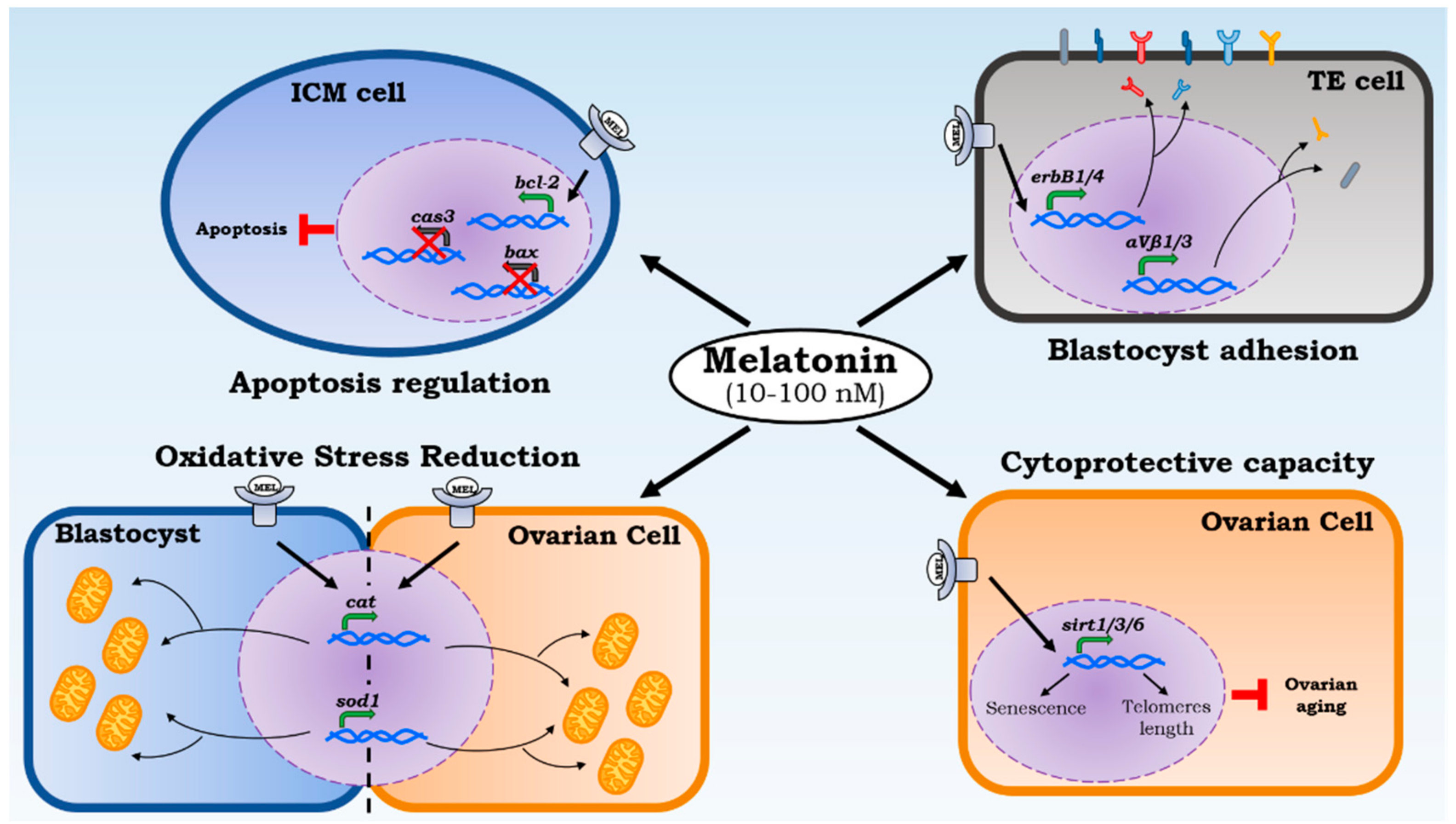 Ijms 19 02802 g002 Ijms 19 02802 g002