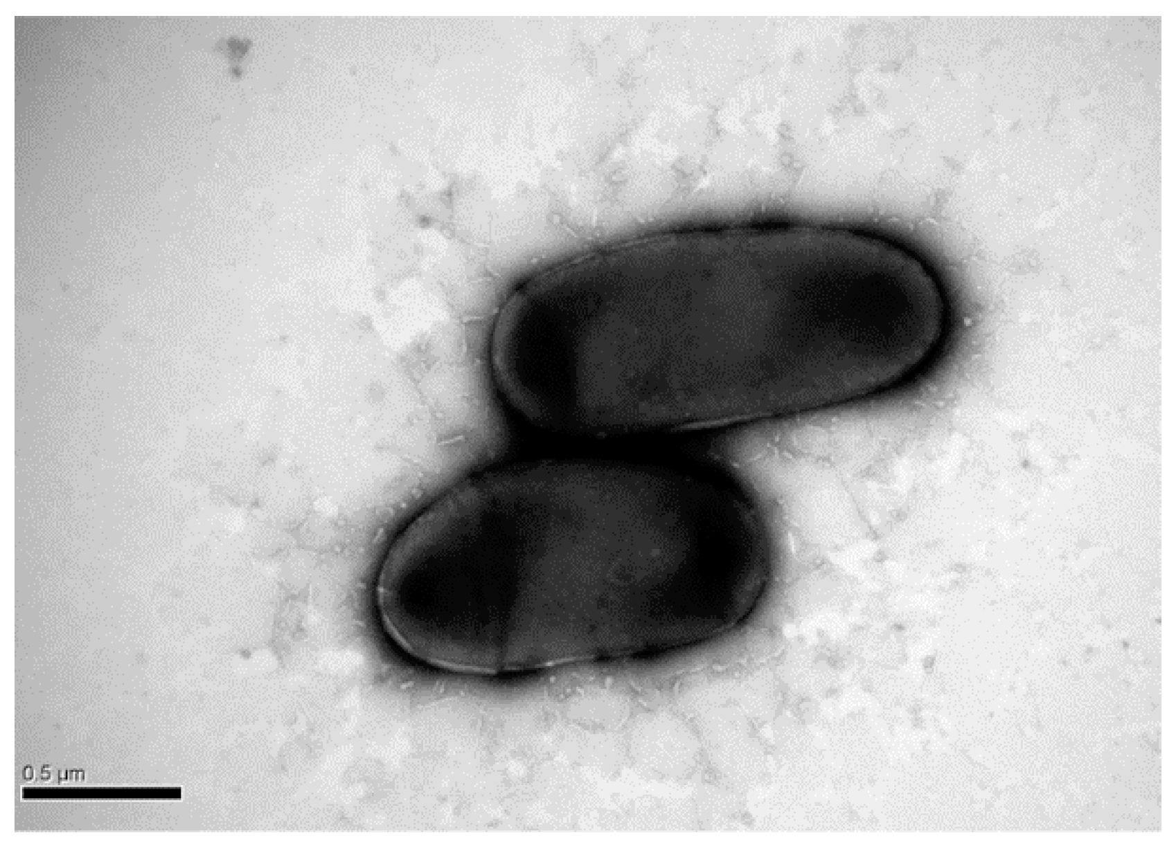 Ijms 19 02803 g001 Ijms 19 02803 g001