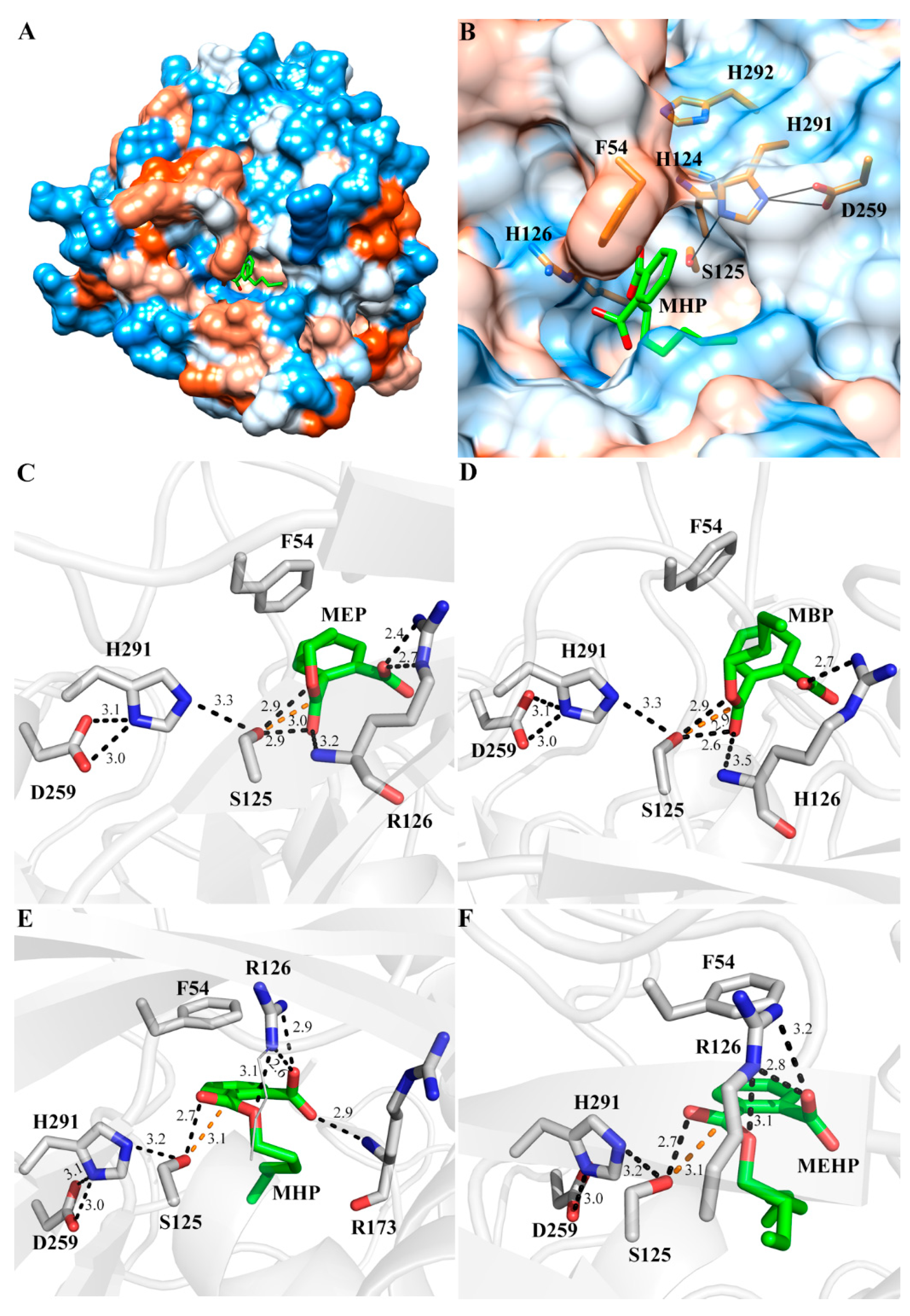Ijms 19 02803 g006 Ijms 19 02803 g006