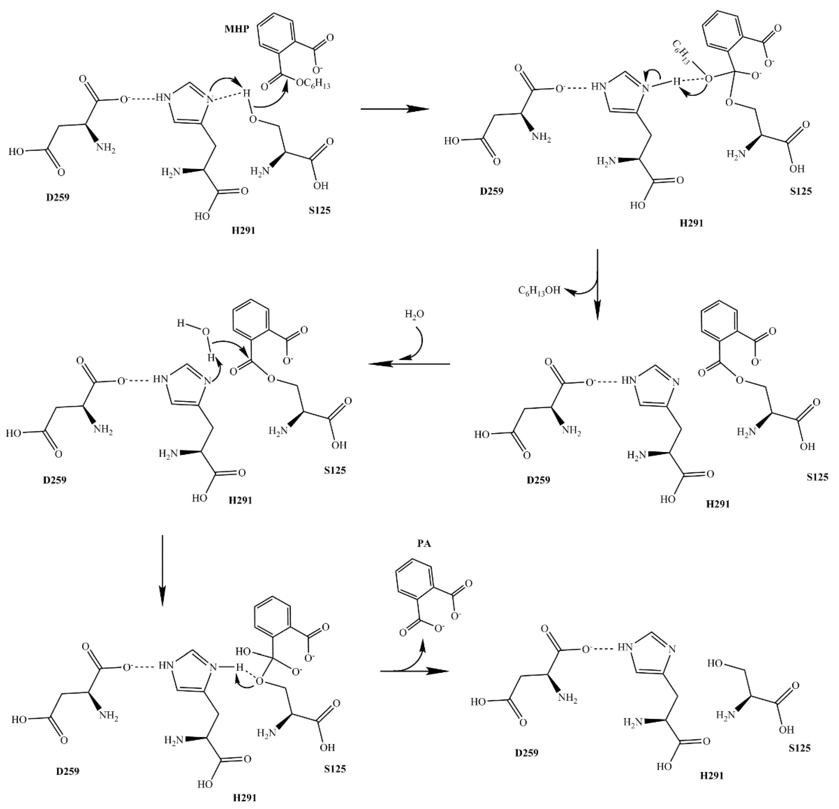 Ijms 19 02803 g008 Ijms 19 02803 g008