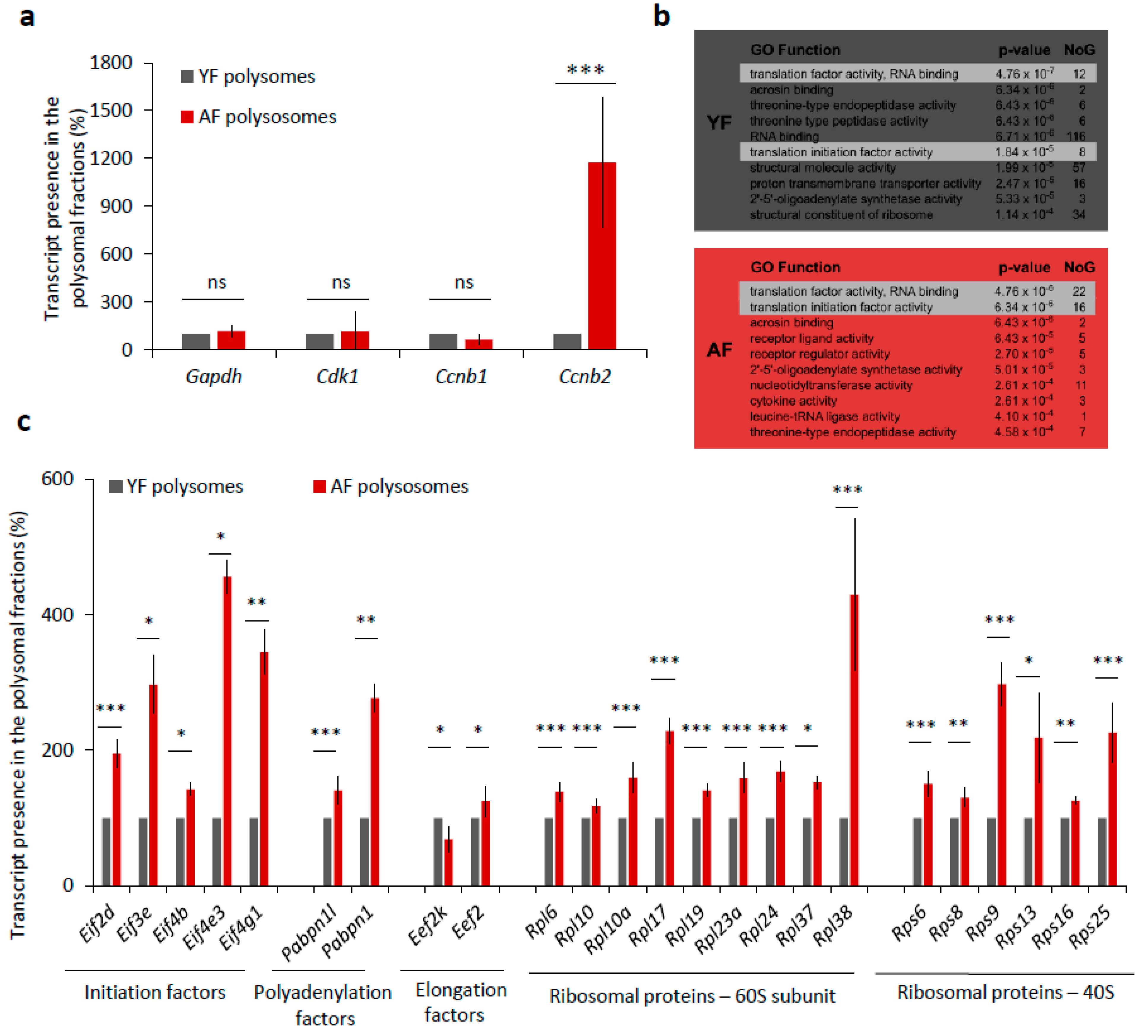 Ijms 19 02841 g005 Ijms 19 02841 g005