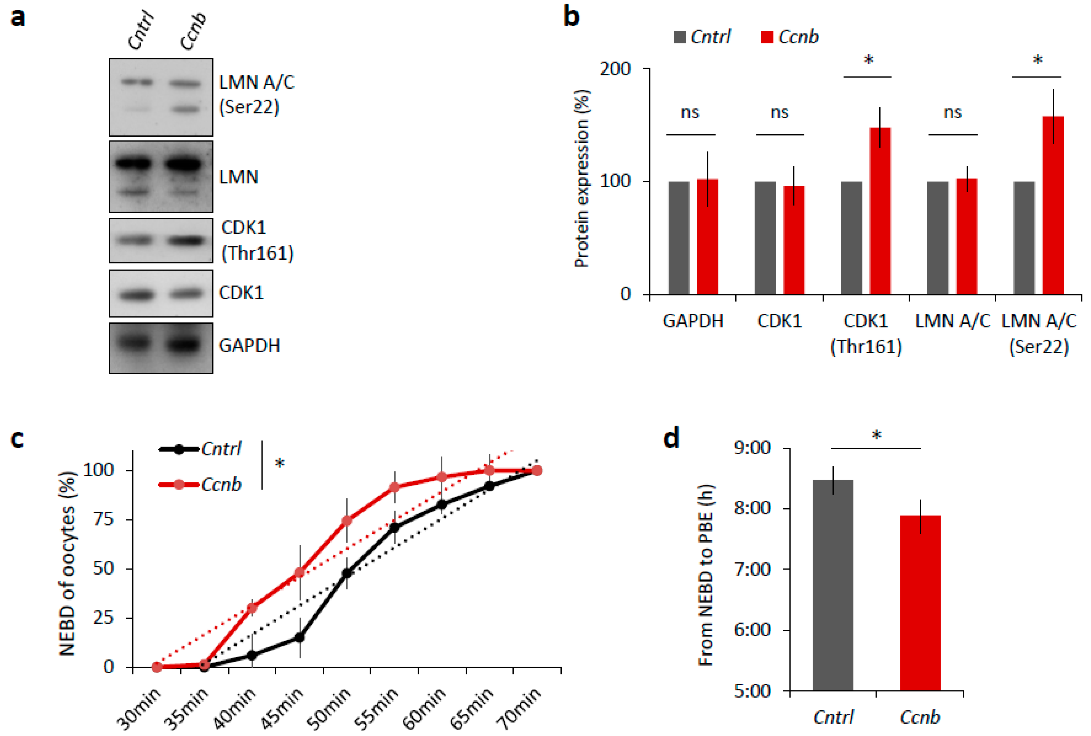 Ijms 19 02841 g006a Ijms 19 02841 g006a