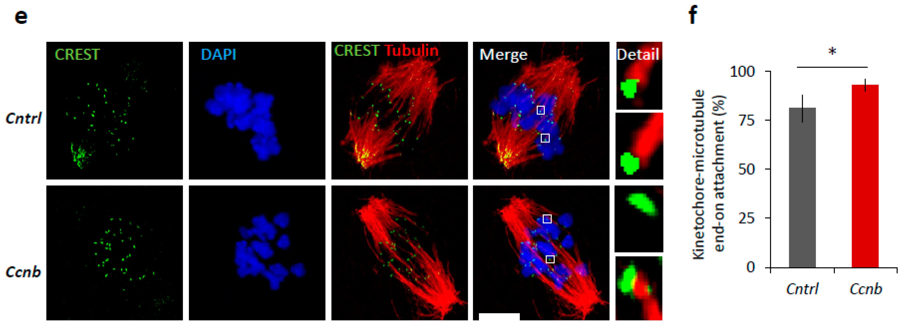 Ijms 19 02841 g006b Ijms 19 02841 g006b
