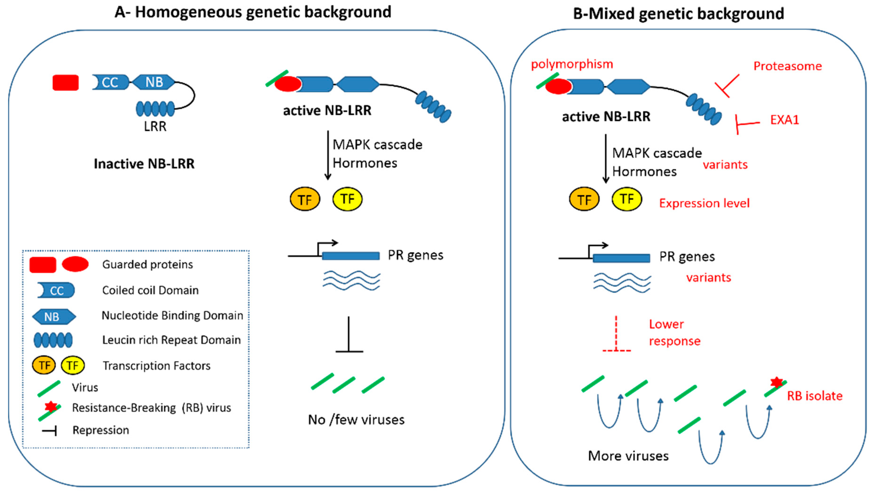 Ijms 19 02856 g001 Ijms 19 02856 g001
