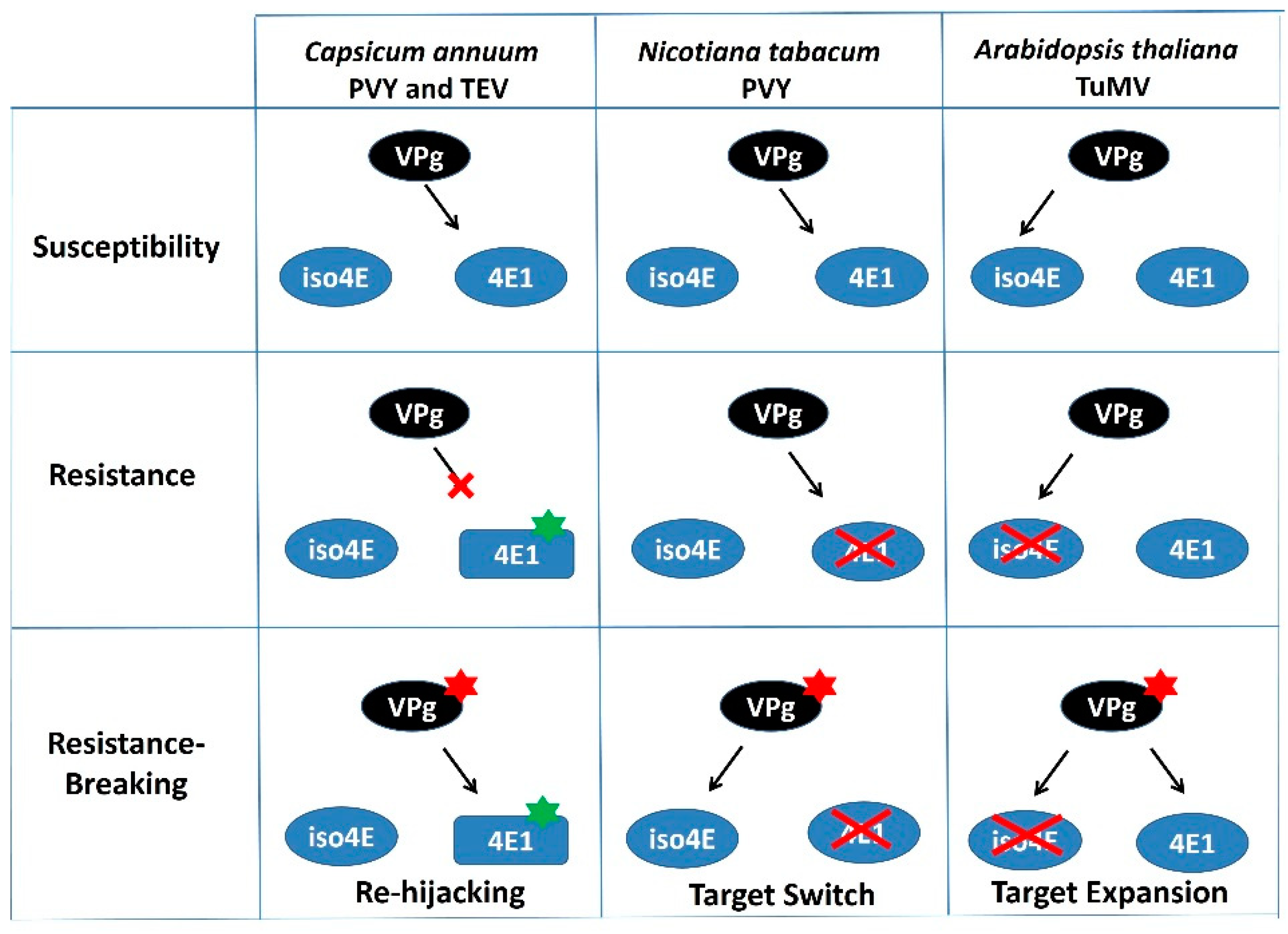 Ijms 19 02856 g002 Ijms 19 02856 g002