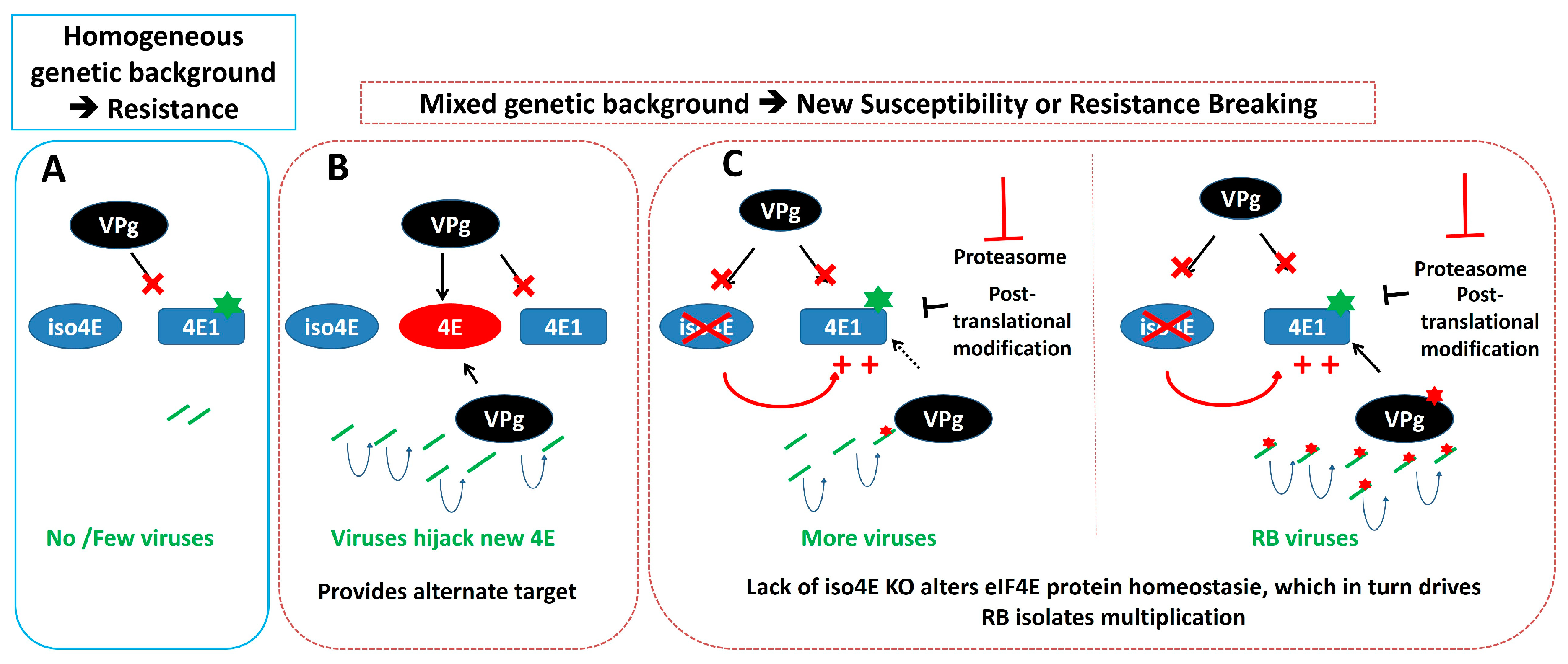 Ijms 19 02856 g003 Ijms 19 02856 g003