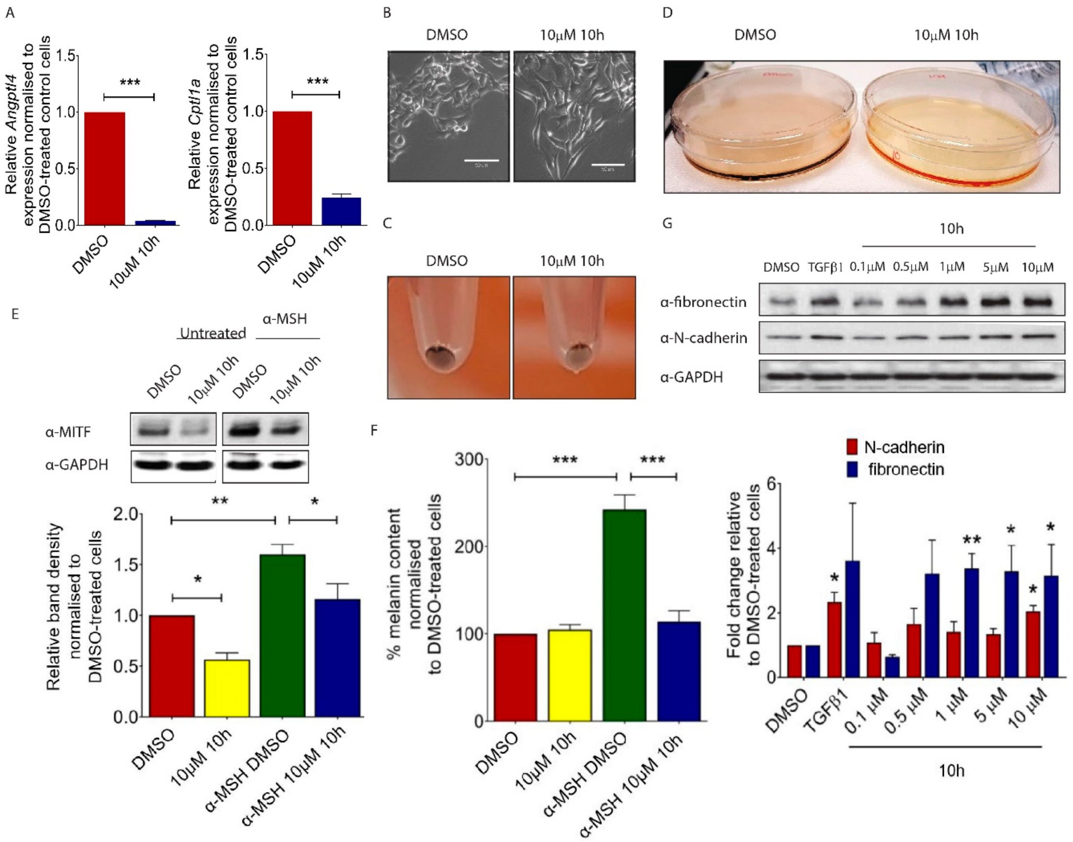 Ijms 19 02860 g001 Ijms 19 02860 g001