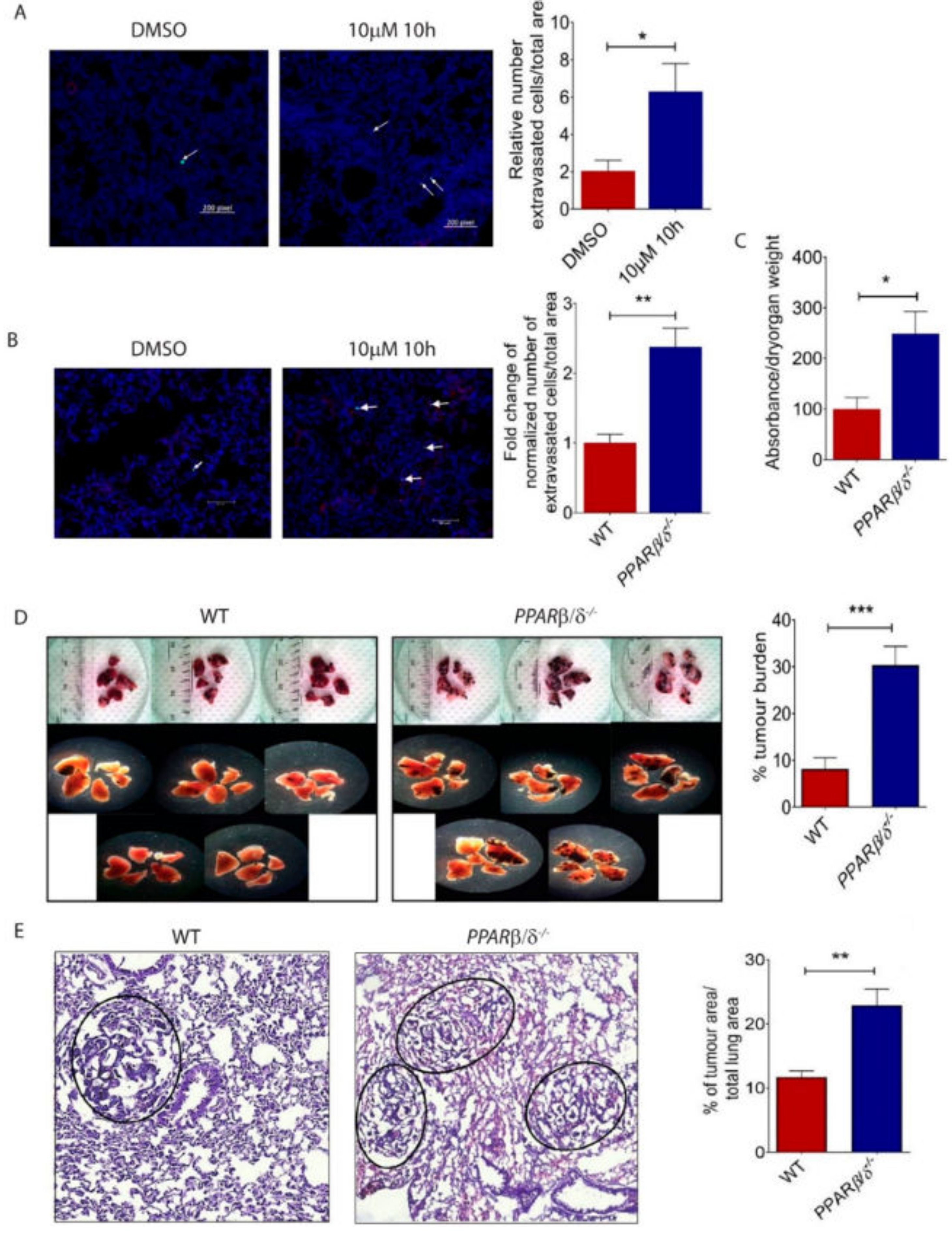 Ijms 19 02860 g004 Ijms 19 02860 g004