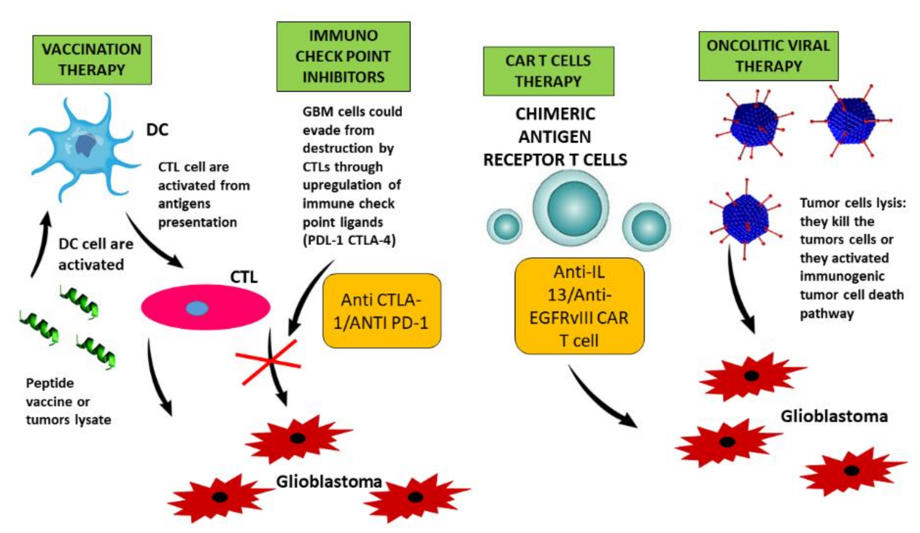 Ijms 19 02879 g003 Ijms 19 02879 g003