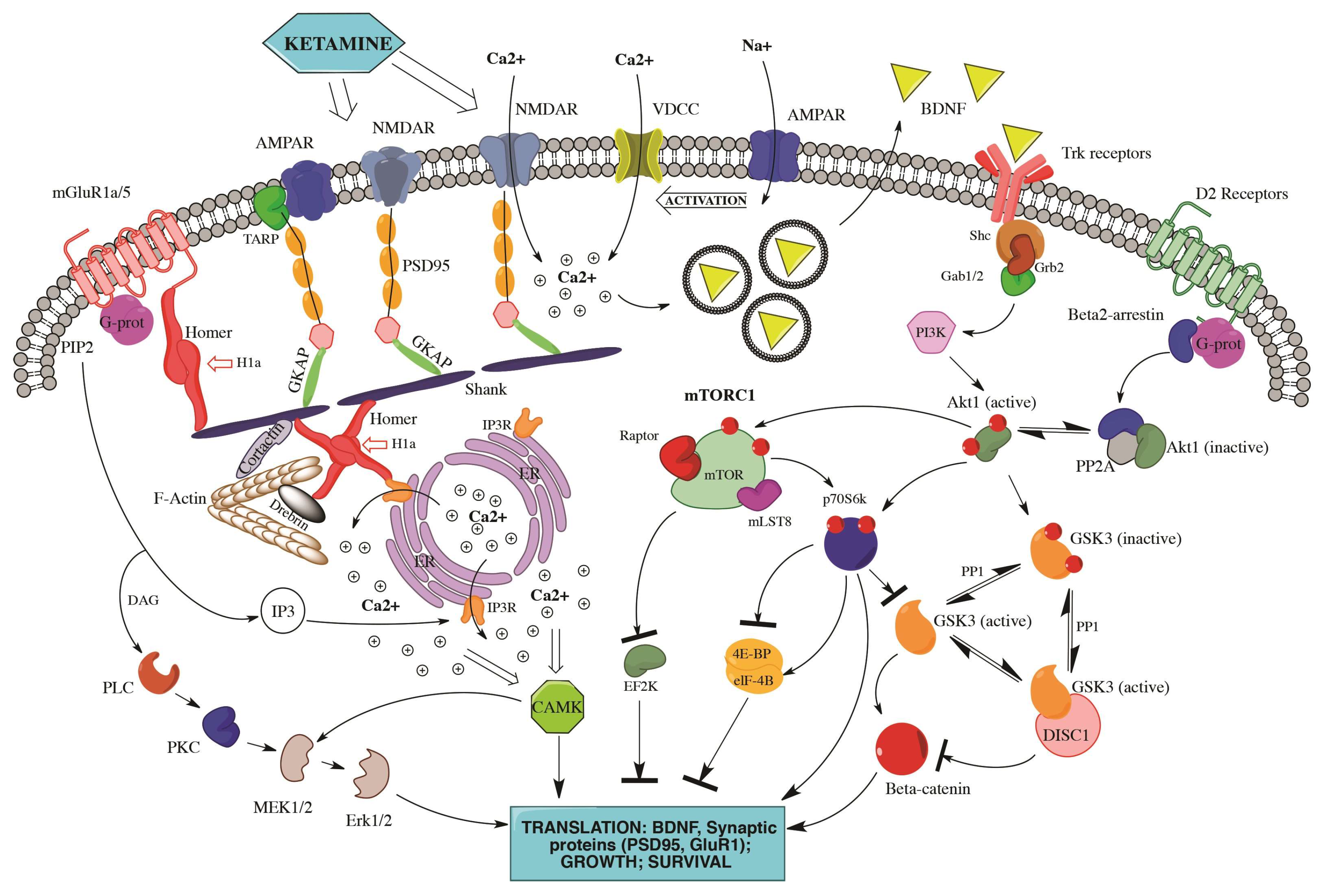 Ijms 19 02888 g001 Ijms 19 02888 g001