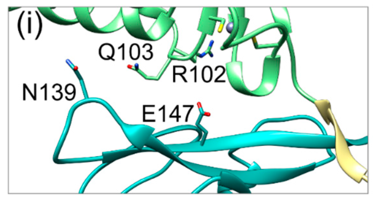 Ijms 19 02908 g005b
