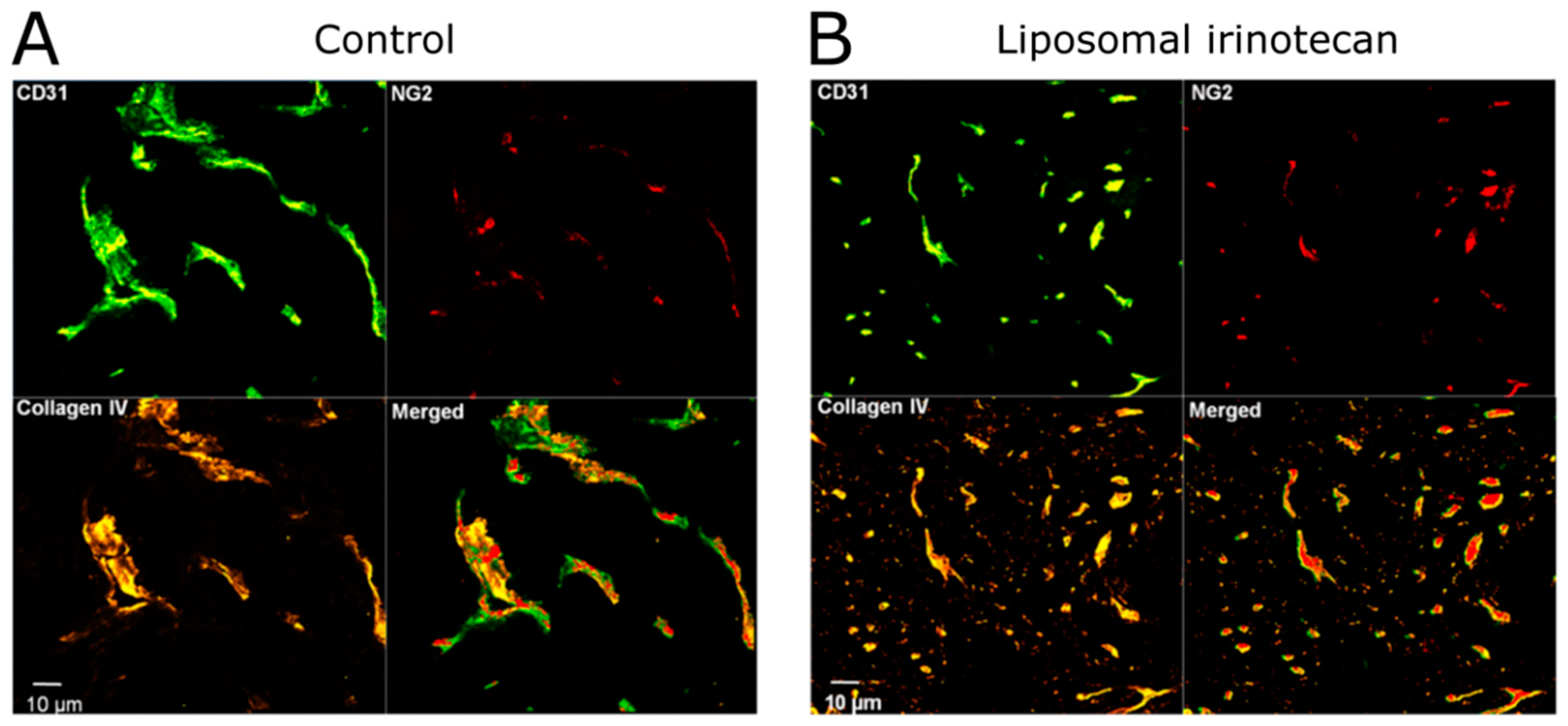 Ijms 19 02922 g004 Ijms 19 02922 g004