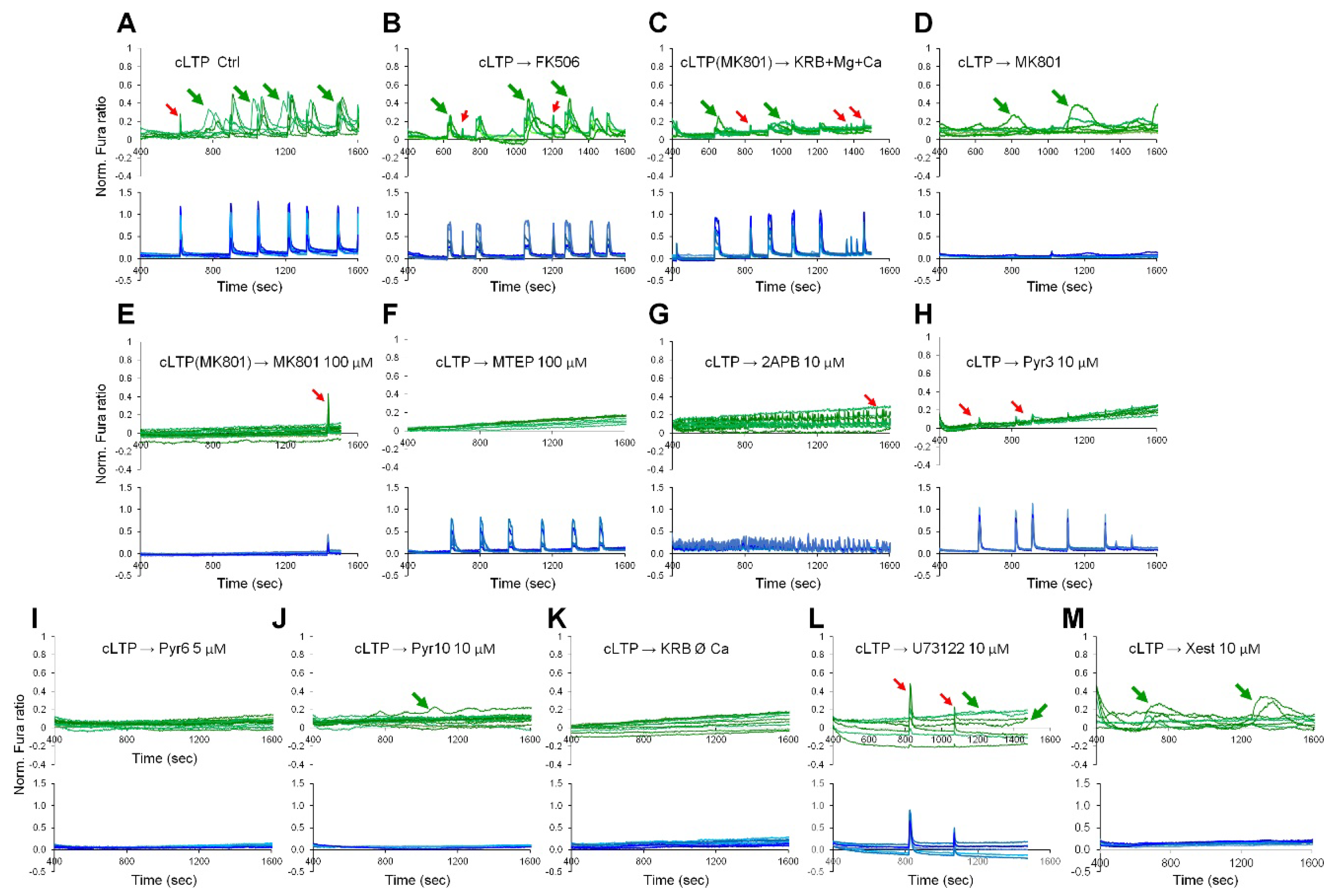 Ijms 19 02997 g005 Ijms 19 02997 g005