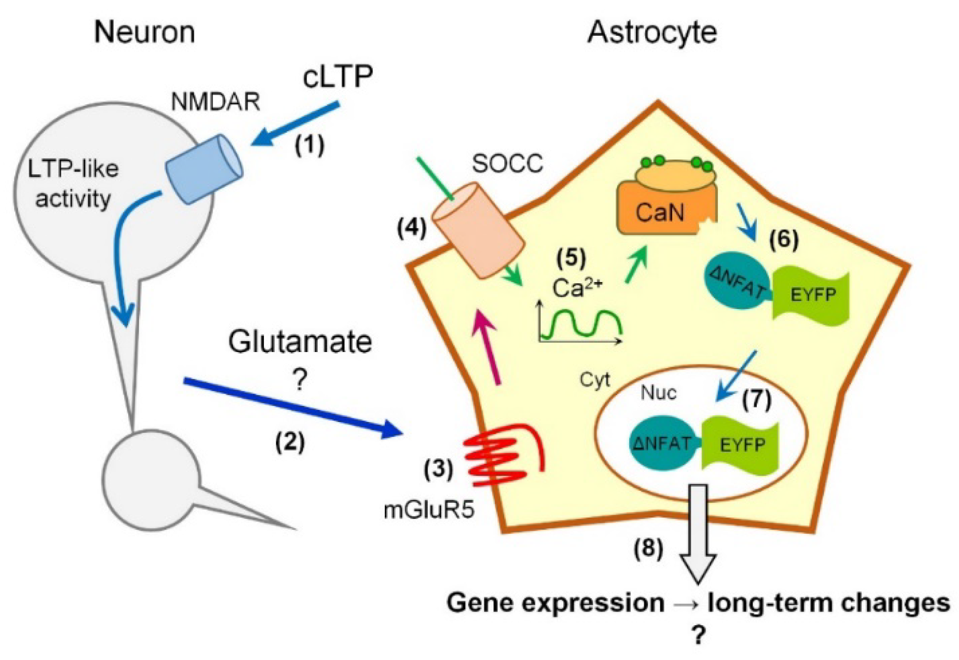 Ijms 19 02997 g007 Ijms 19 02997 g007