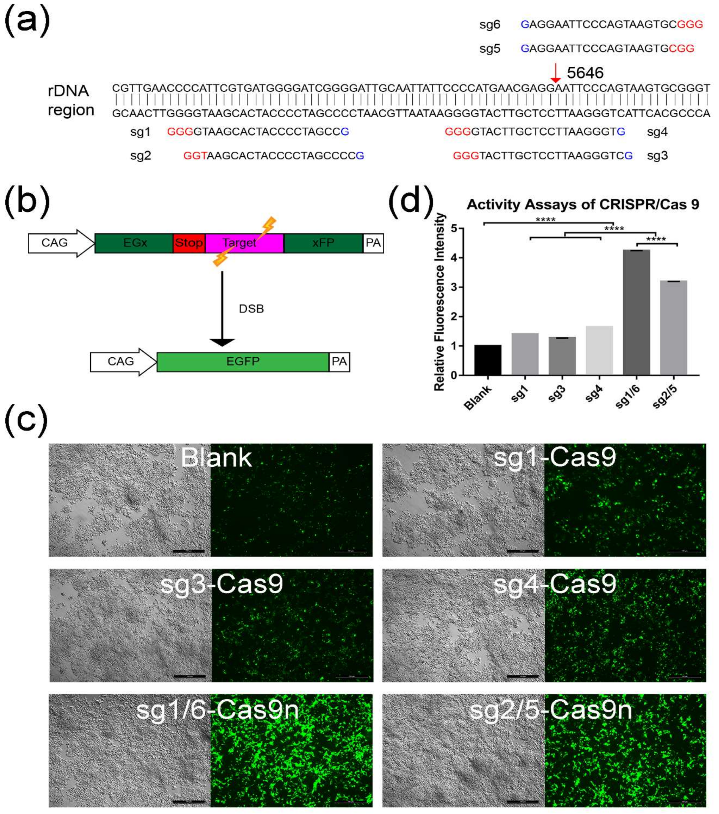 Ijms 19 03035 g001 Ijms 19 03035 g001