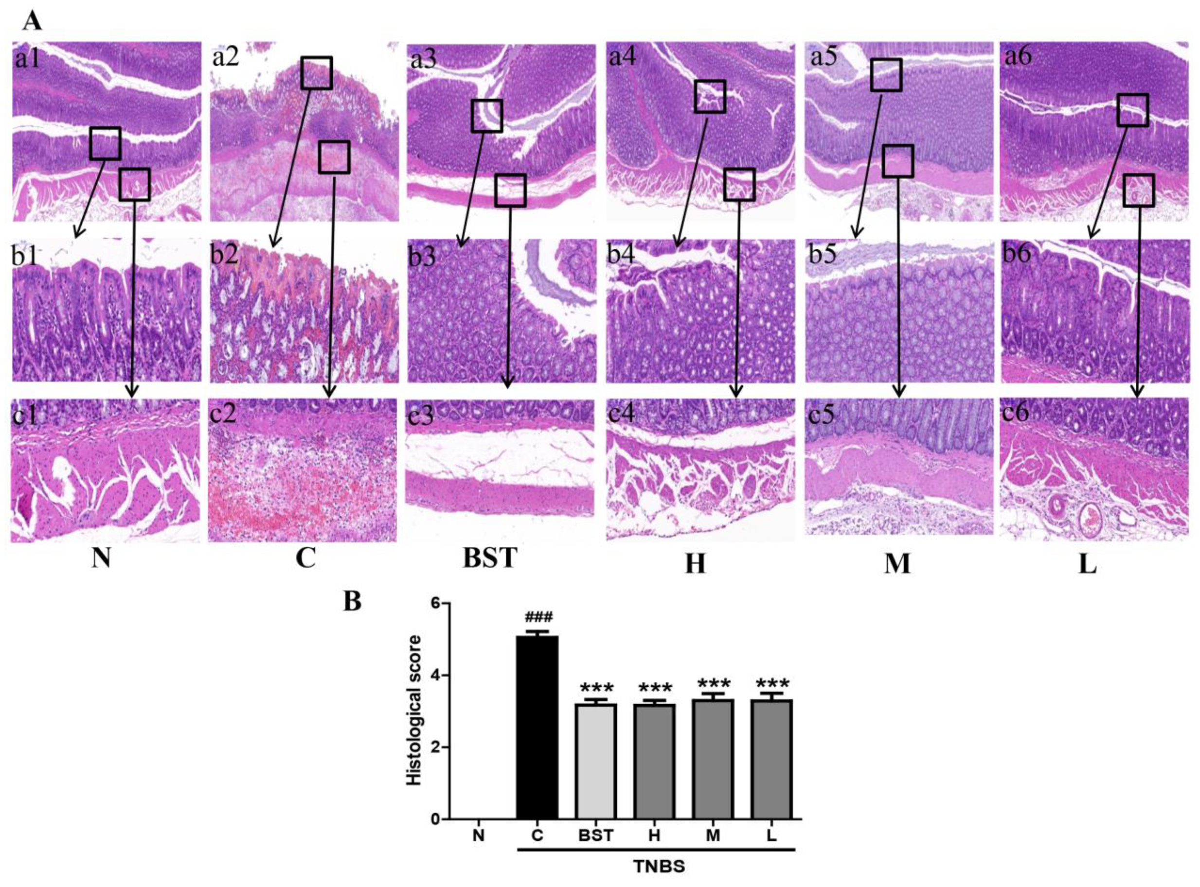Ijms 19 03057 g002 Ijms 19 03057 g002