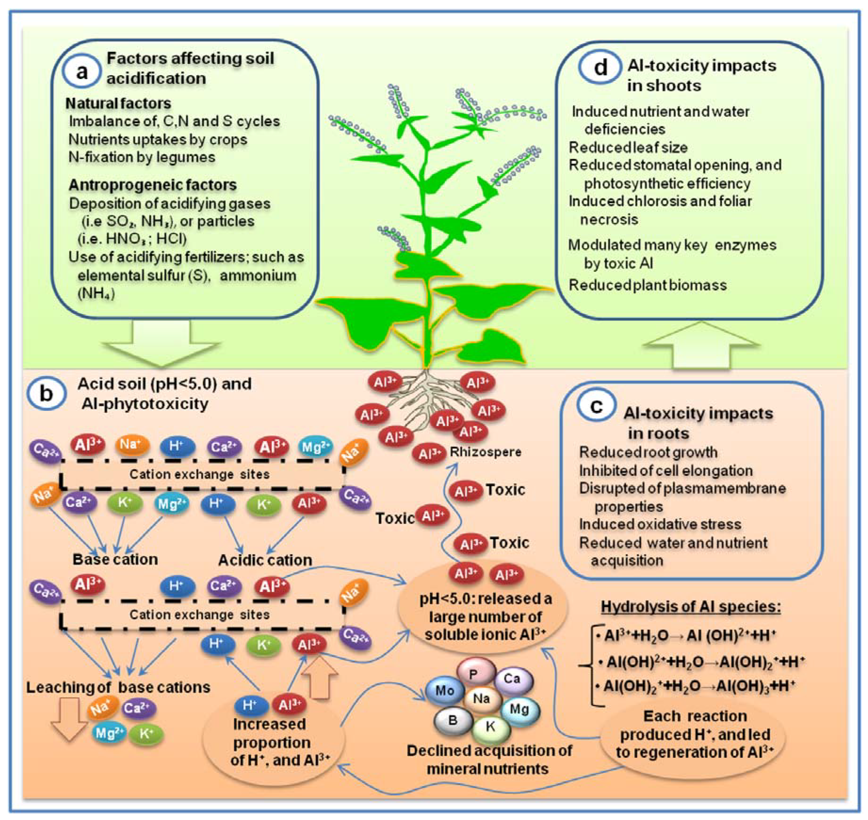 Ijms 19 03073 g001 Ijms 19 03073 g001
