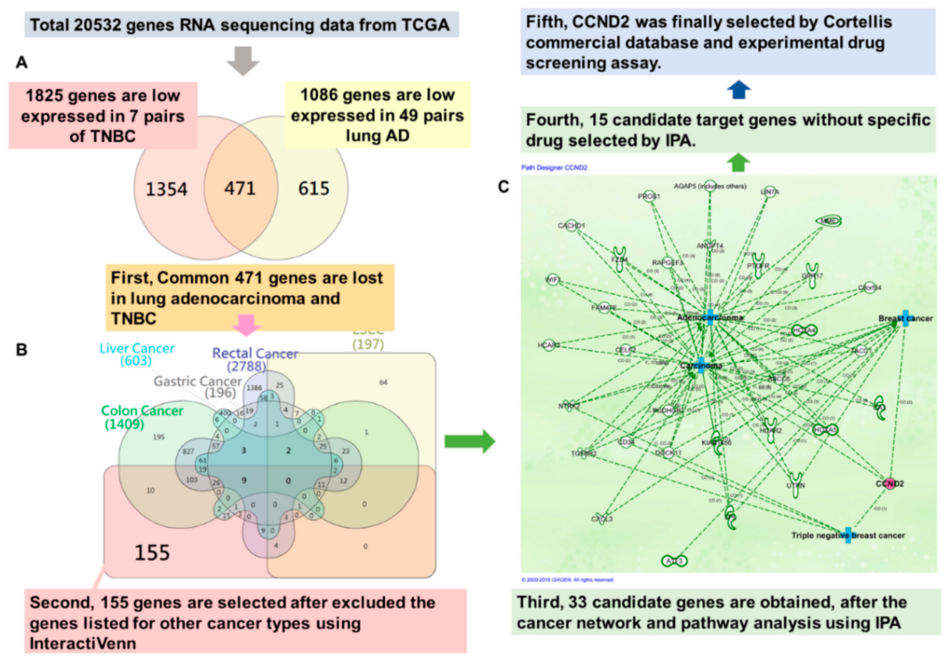 Ijms 19 03096 g001 Ijms 19 03096 g001