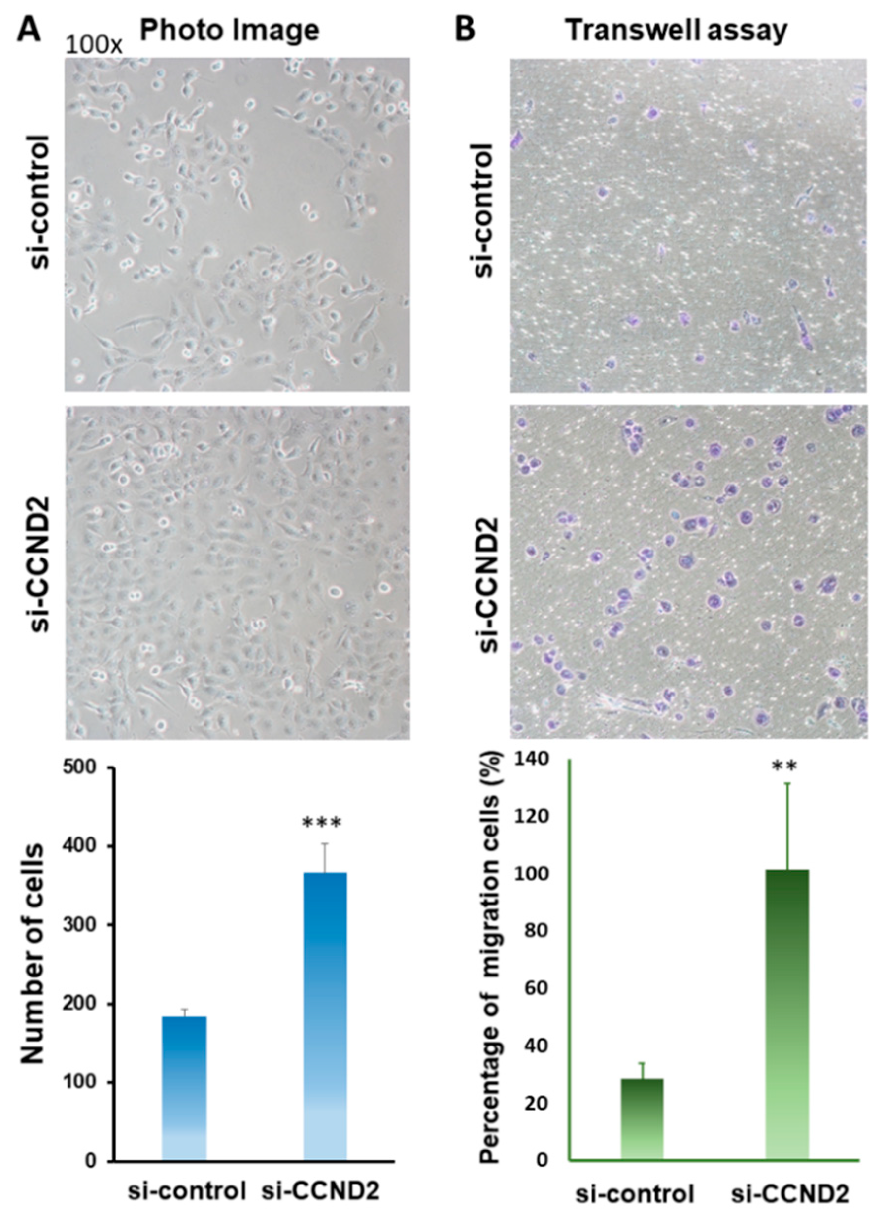 Ijms 19 03096 g004 Ijms 19 03096 g004