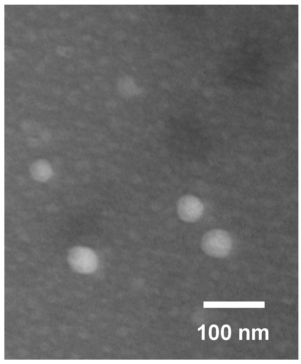 Ijms 19 03132 g005