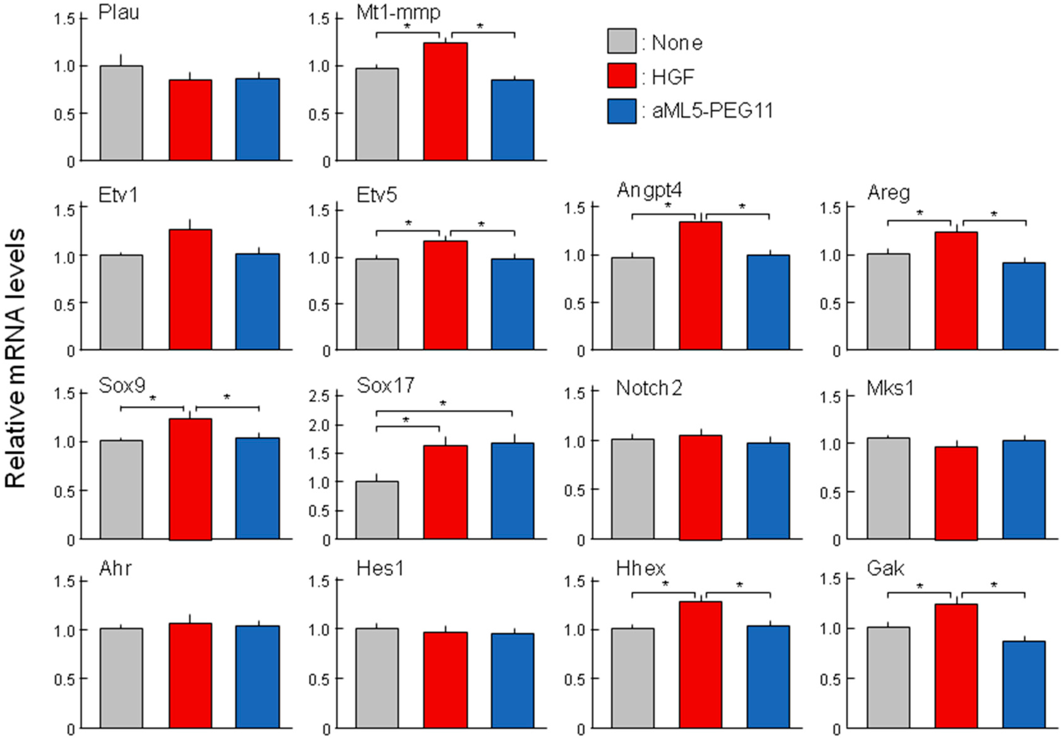 Ijms 19 03141 g007 Ijms 19 03141 g007