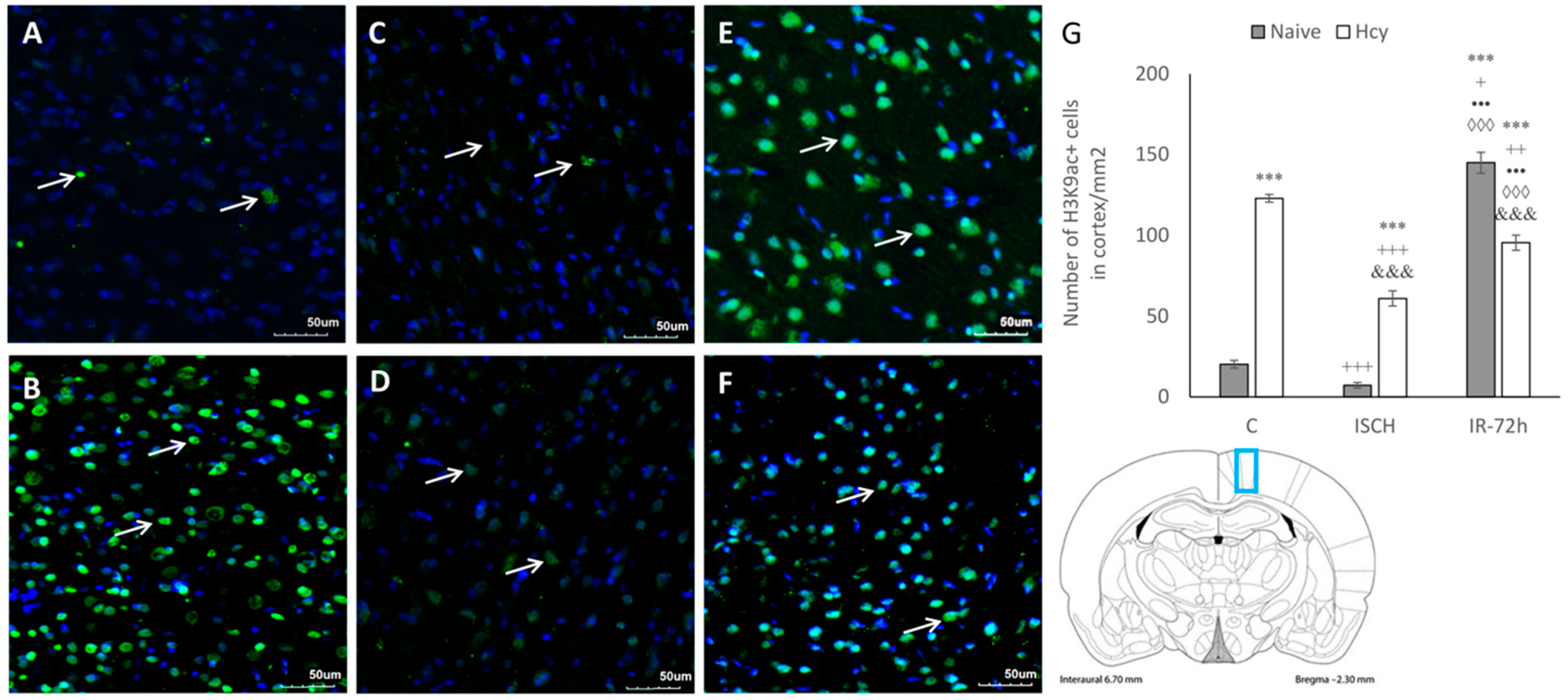 Ijms 19 03147 g002 Ijms 19 03147 g002
