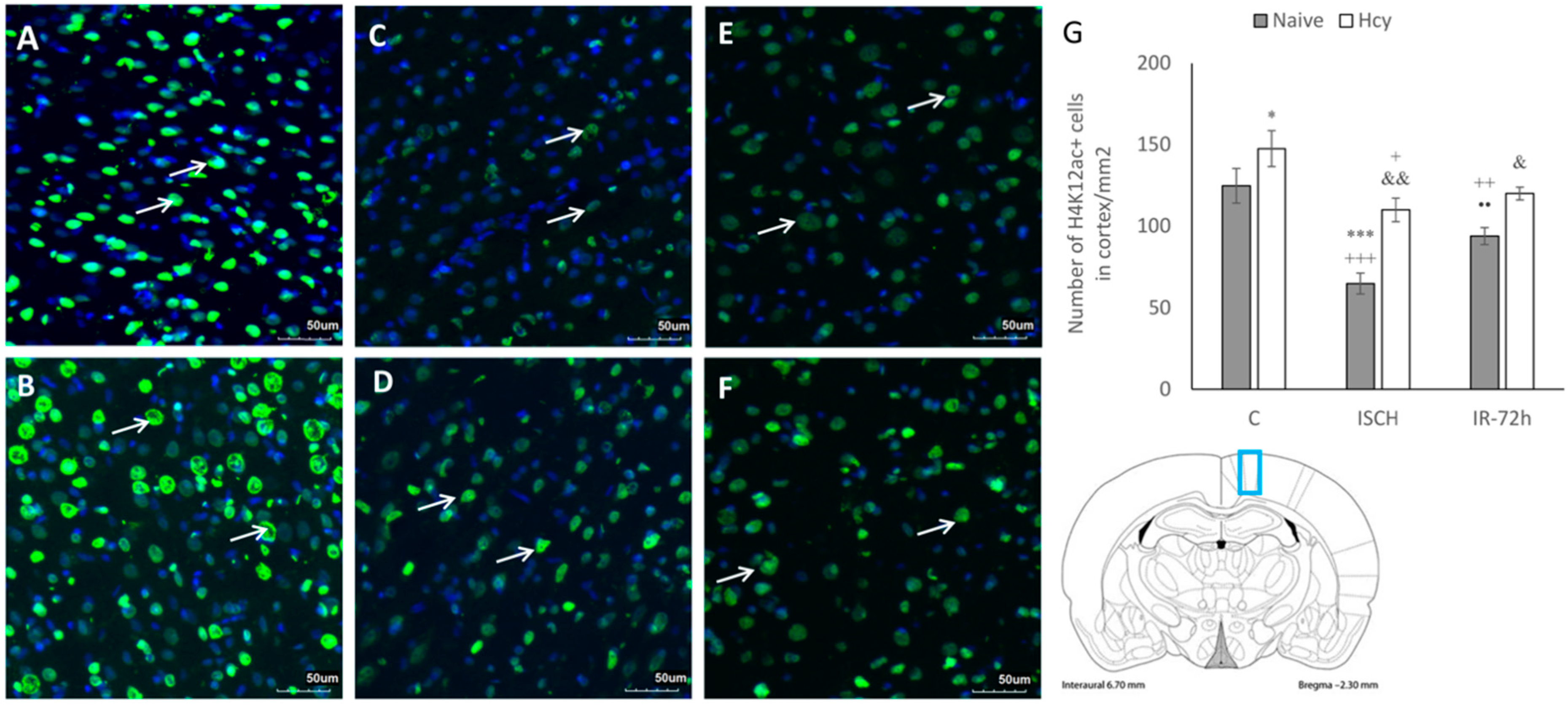 Ijms 19 03147 g003 Ijms 19 03147 g003