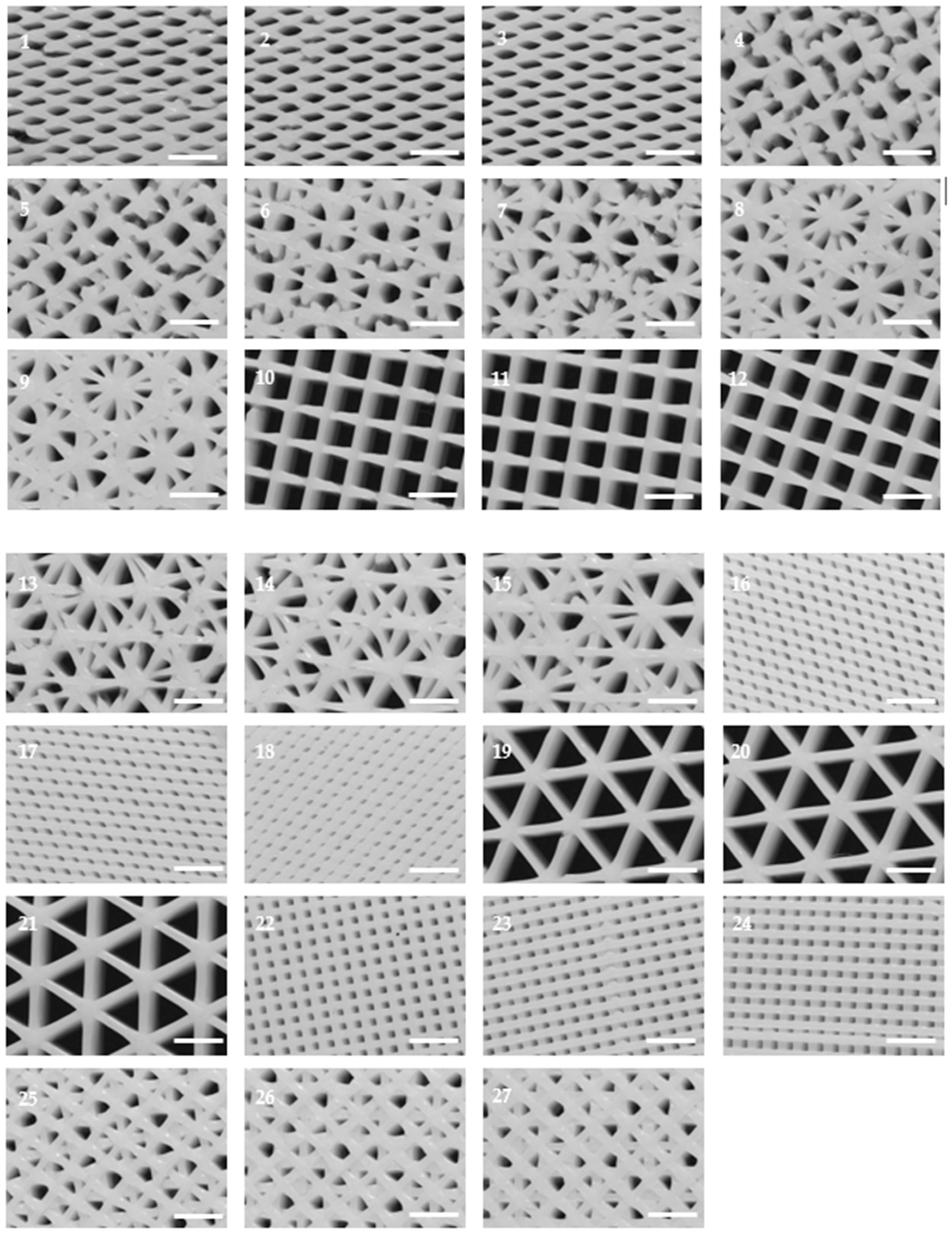 Ijms 19 03148 g001 Ijms 19 03148 g001