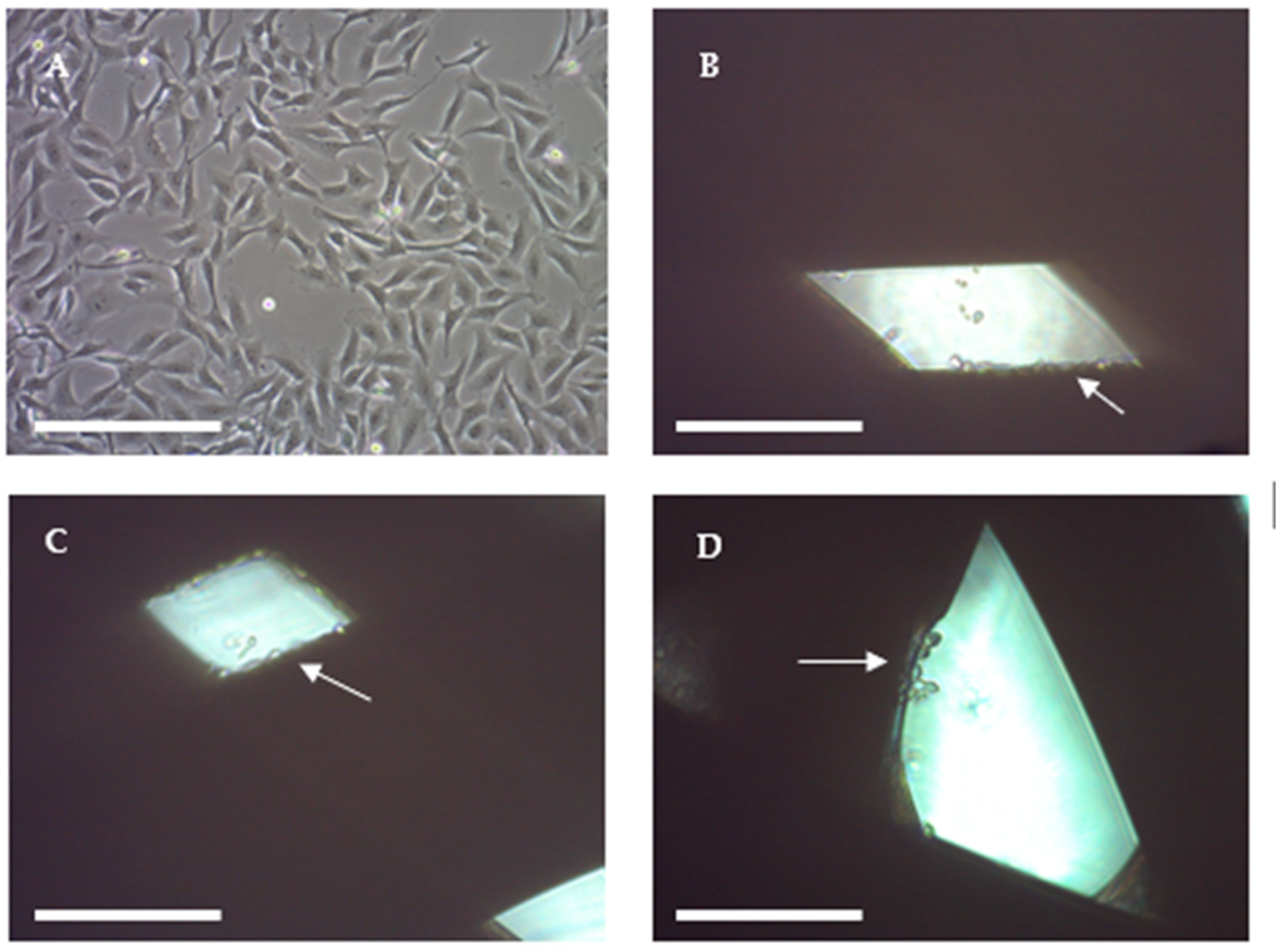 Ijms 19 03148 g005 Ijms 19 03148 g005