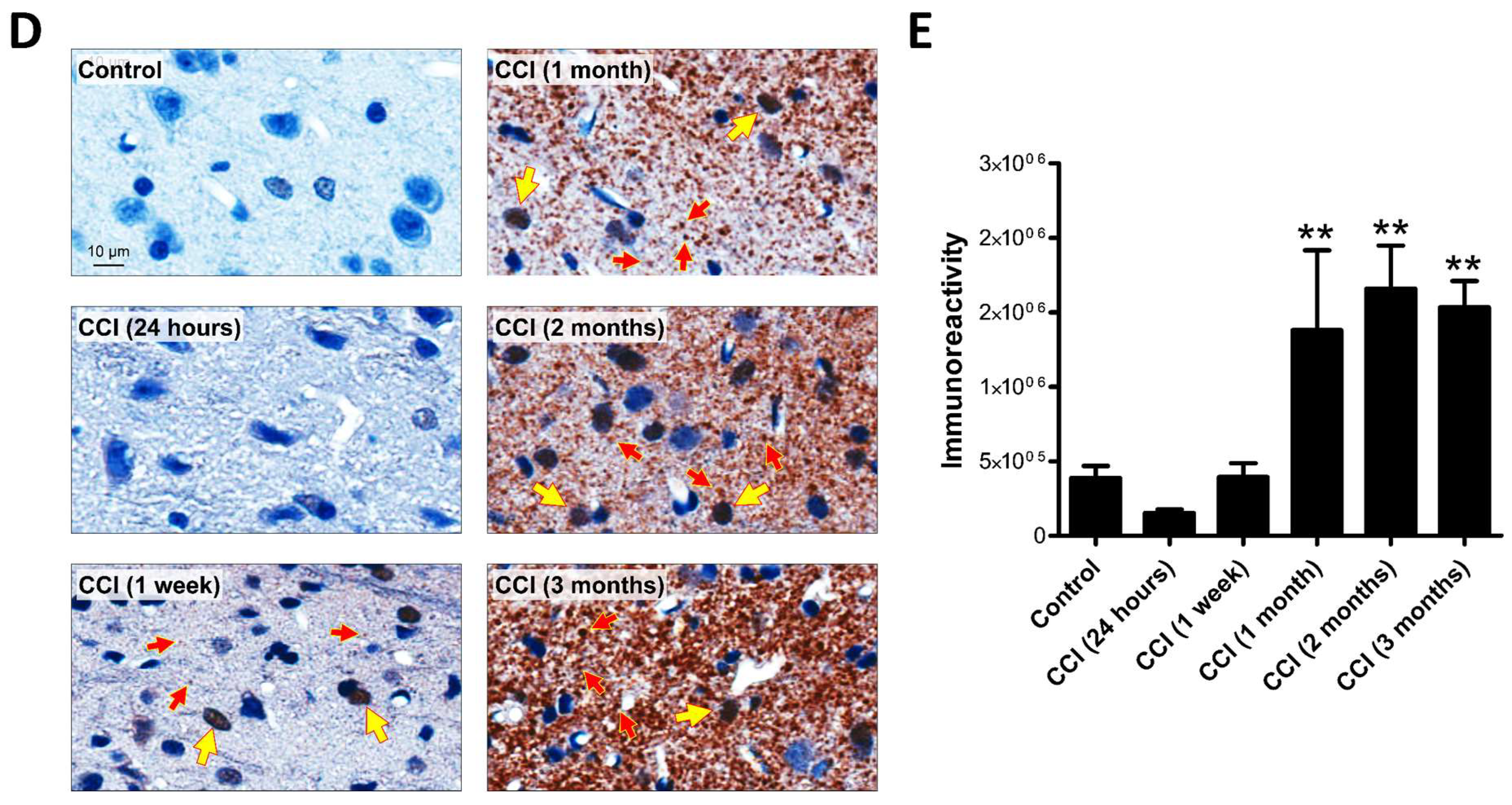Ijms 19 03151 g001b Ijms 19 03151 g001b