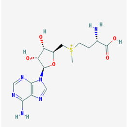 Ijms 19 03199 i009 Ijms 19 03199 i009