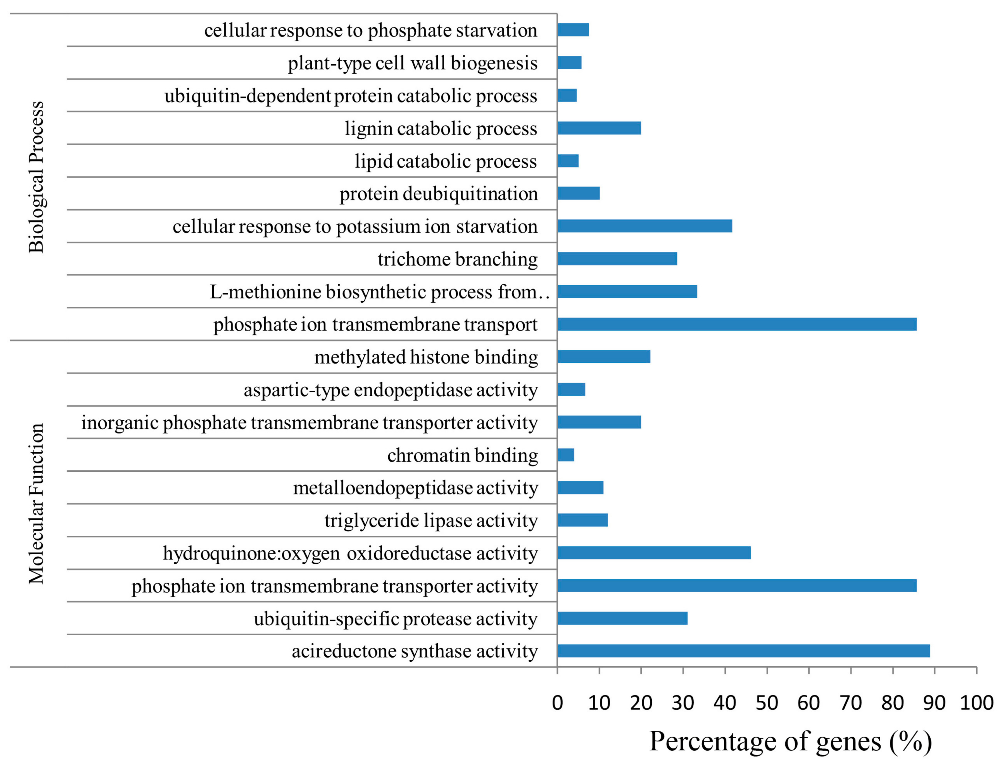 Ijms 19 03201 g005 Ijms 19 03201 g005