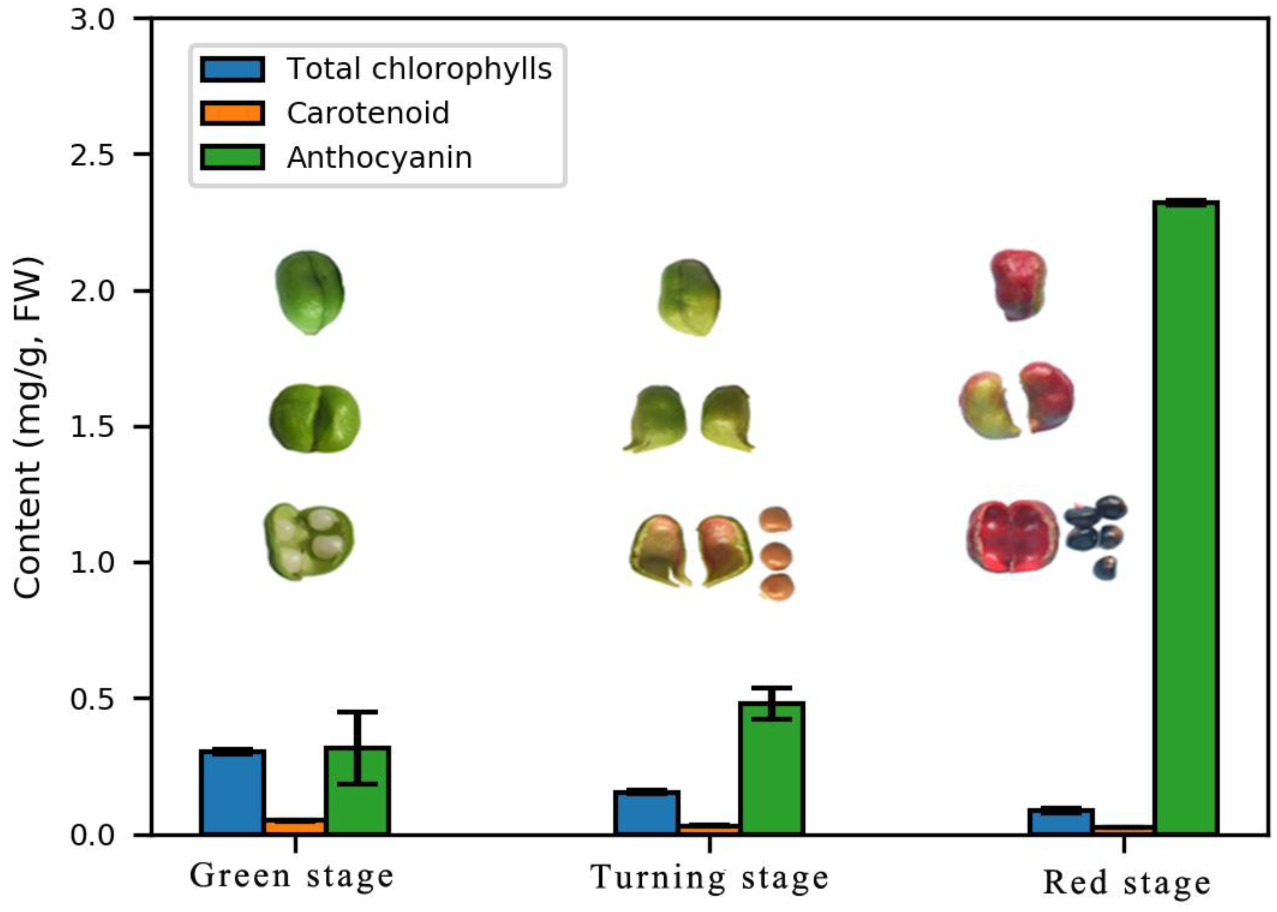 Ijms 19 03209 g002 Ijms 19 03209 g002