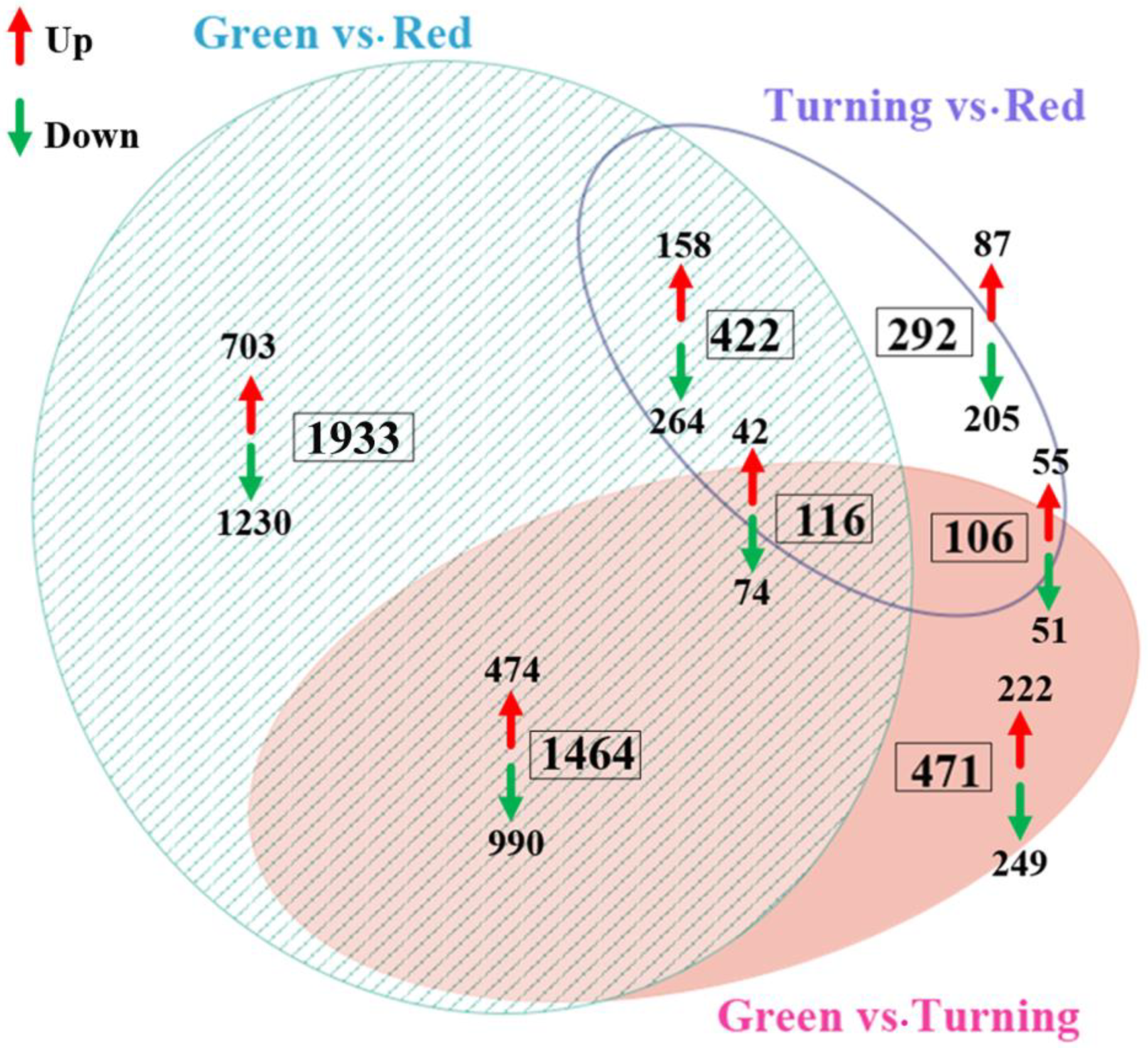 Ijms 19 03209 g003 Ijms 19 03209 g003