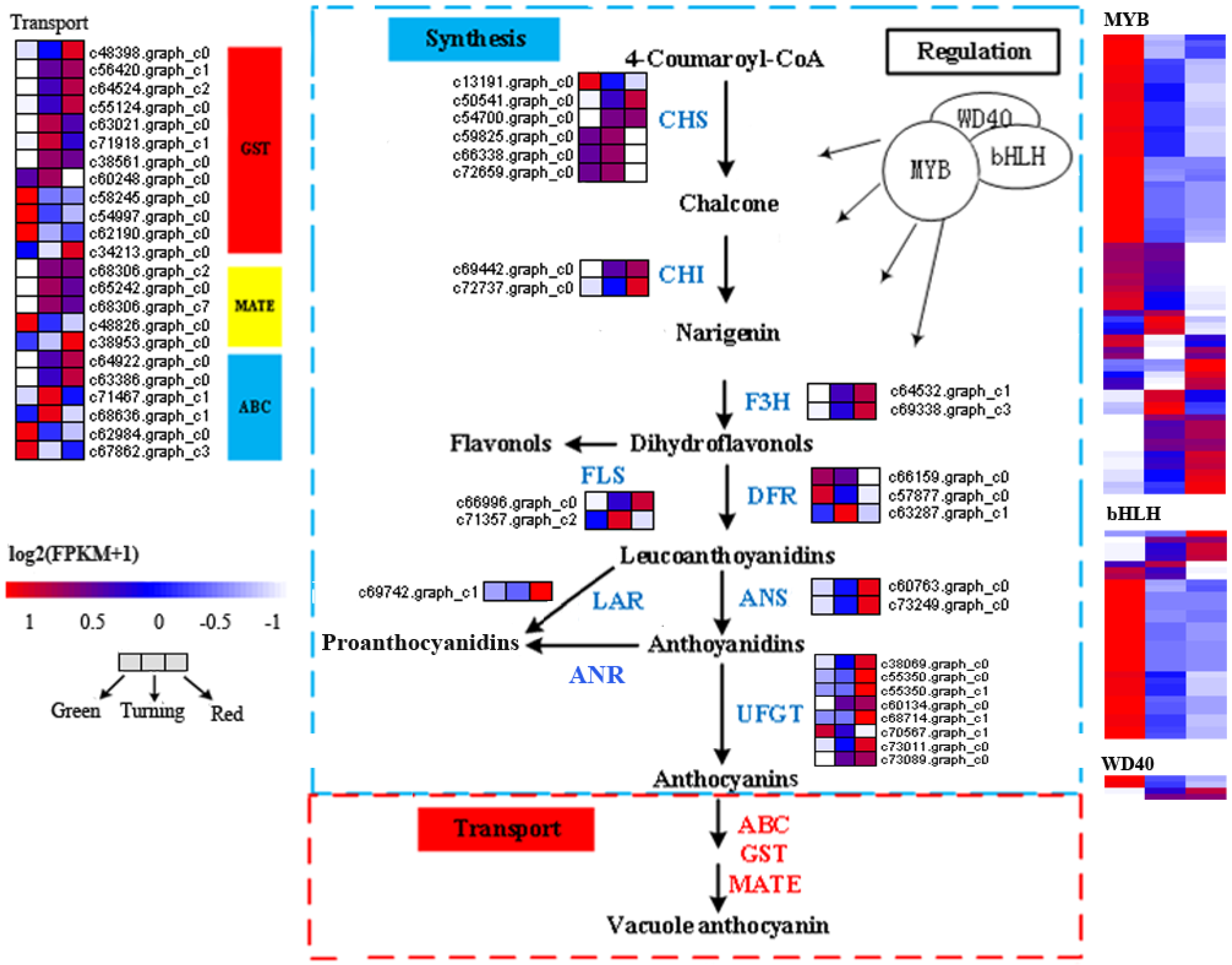 Ijms 19 03209 g004 Ijms 19 03209 g004