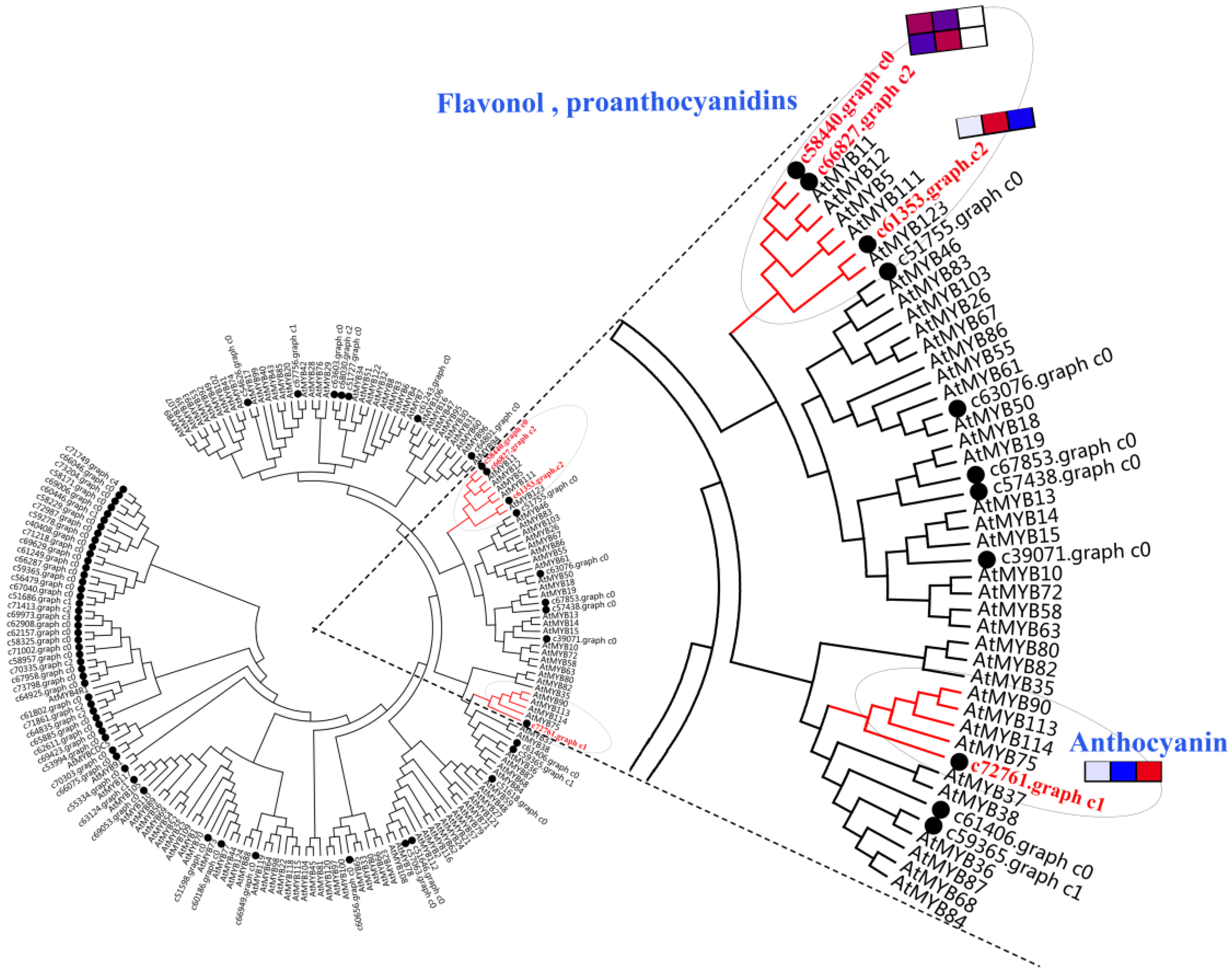 Ijms 19 03209 g005 Ijms 19 03209 g005