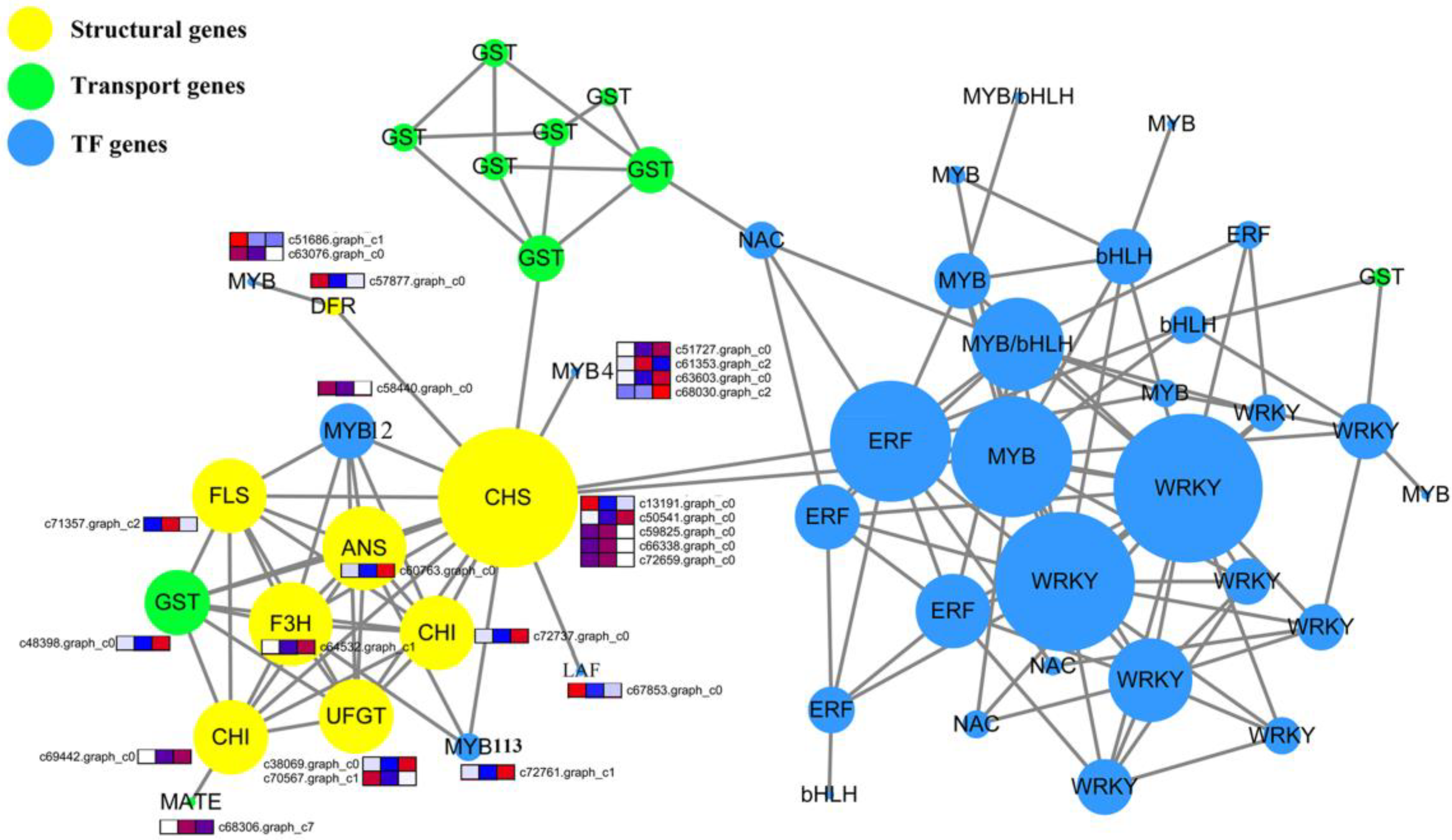 Ijms 19 03209 g006 Ijms 19 03209 g006