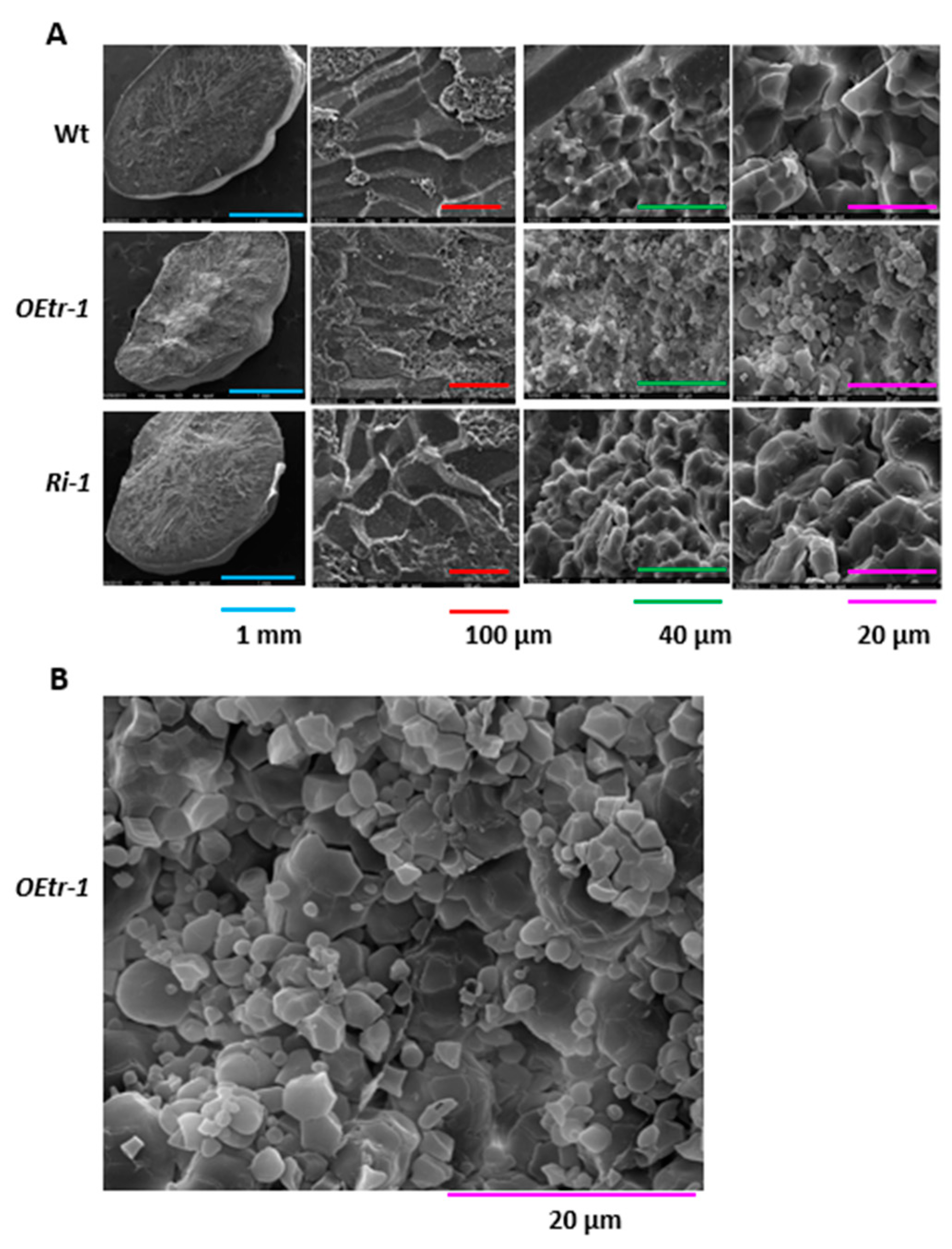 Ijms 19 03247 g003