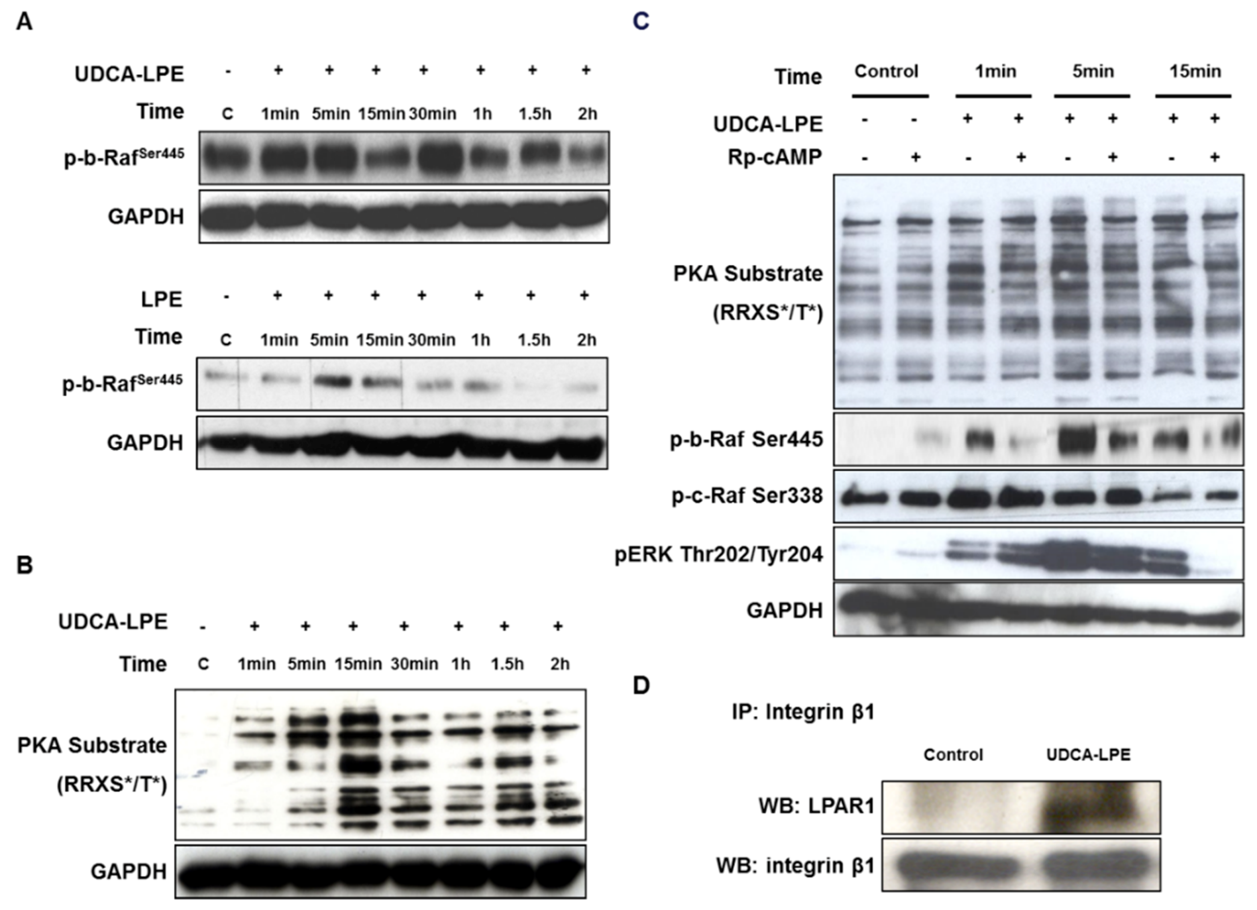 Ijms 19 03254 g005