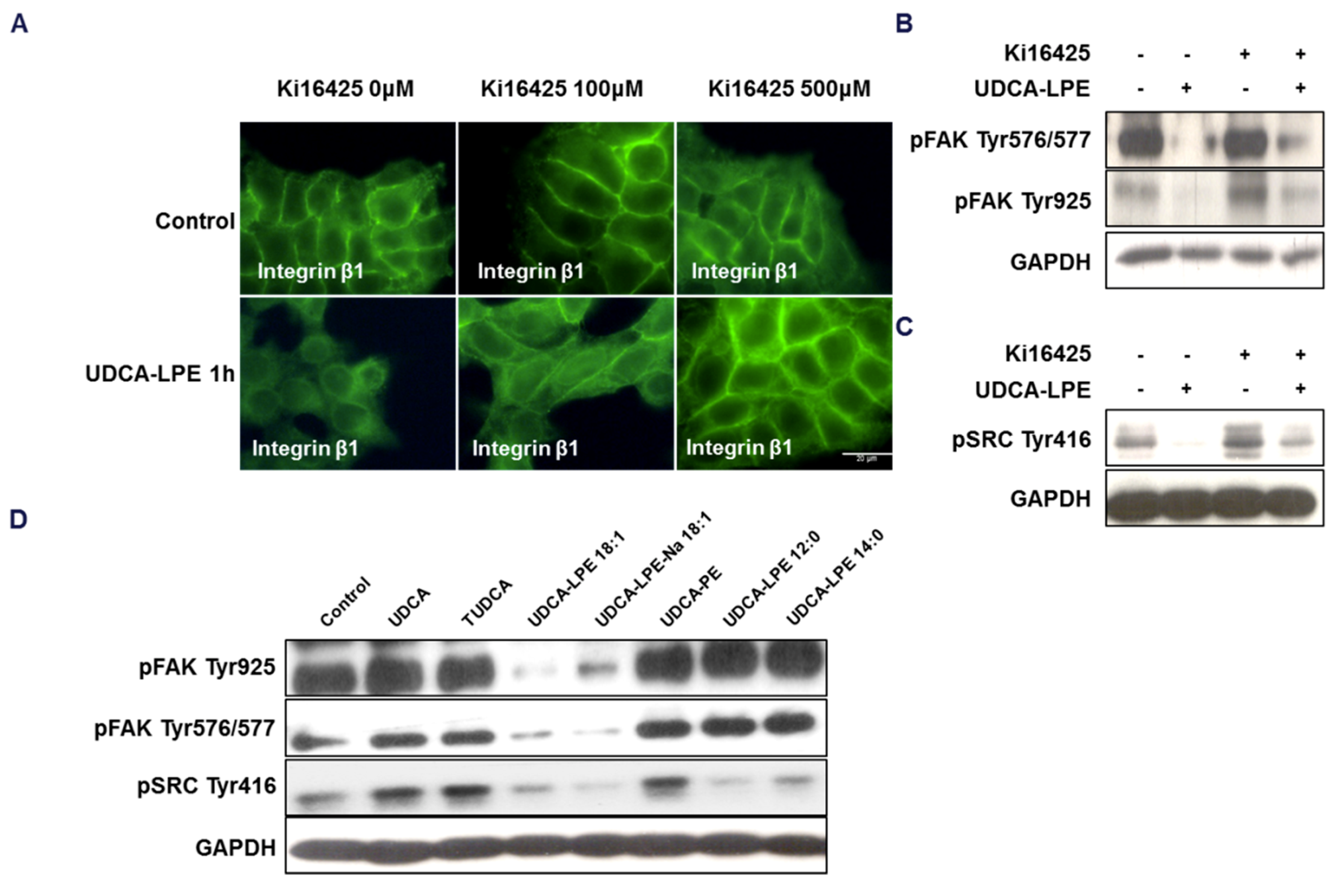 Ijms 19 03254 g006