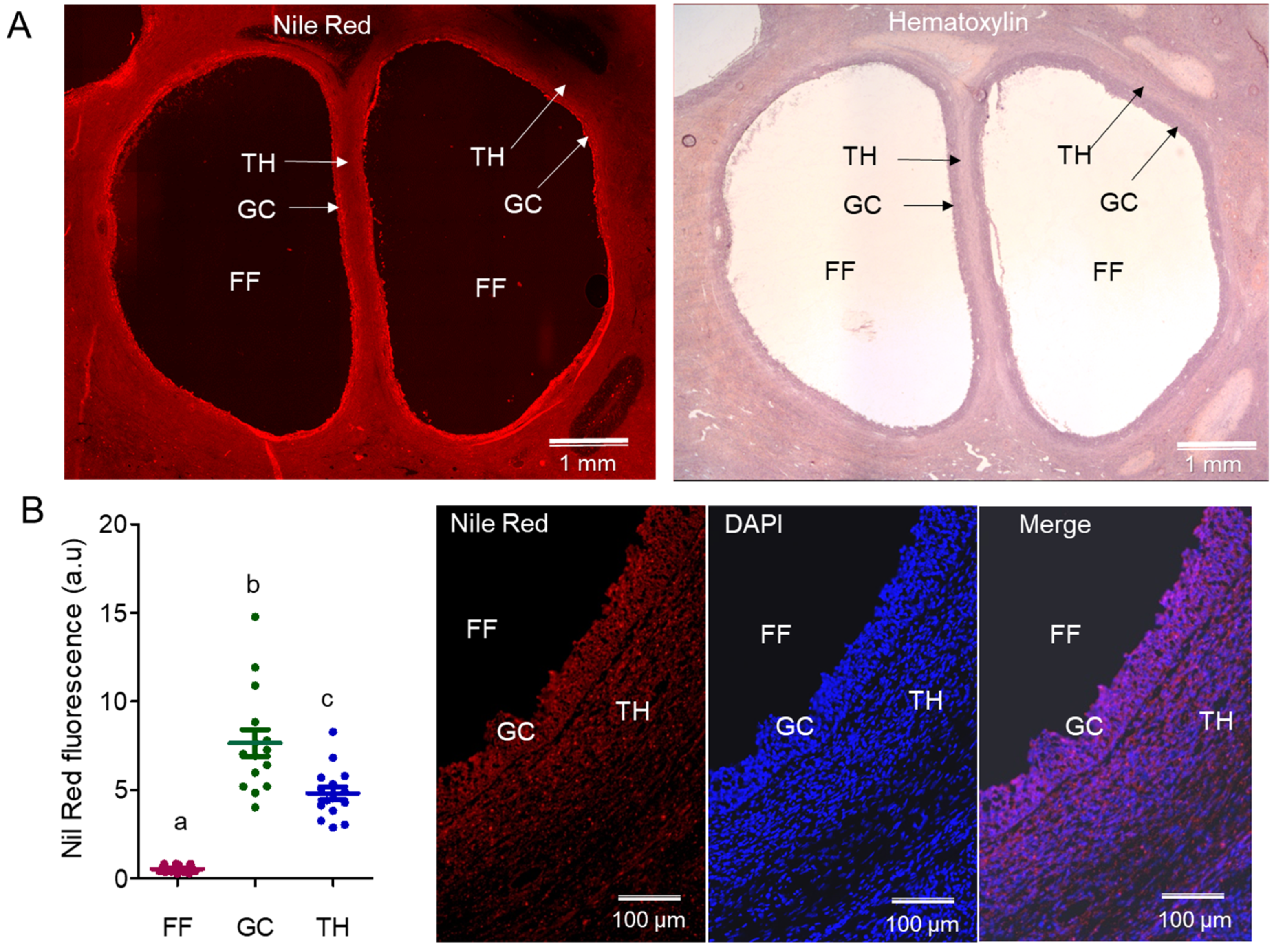 Ijms 19 03261 g001 Ijms 19 03261 g001