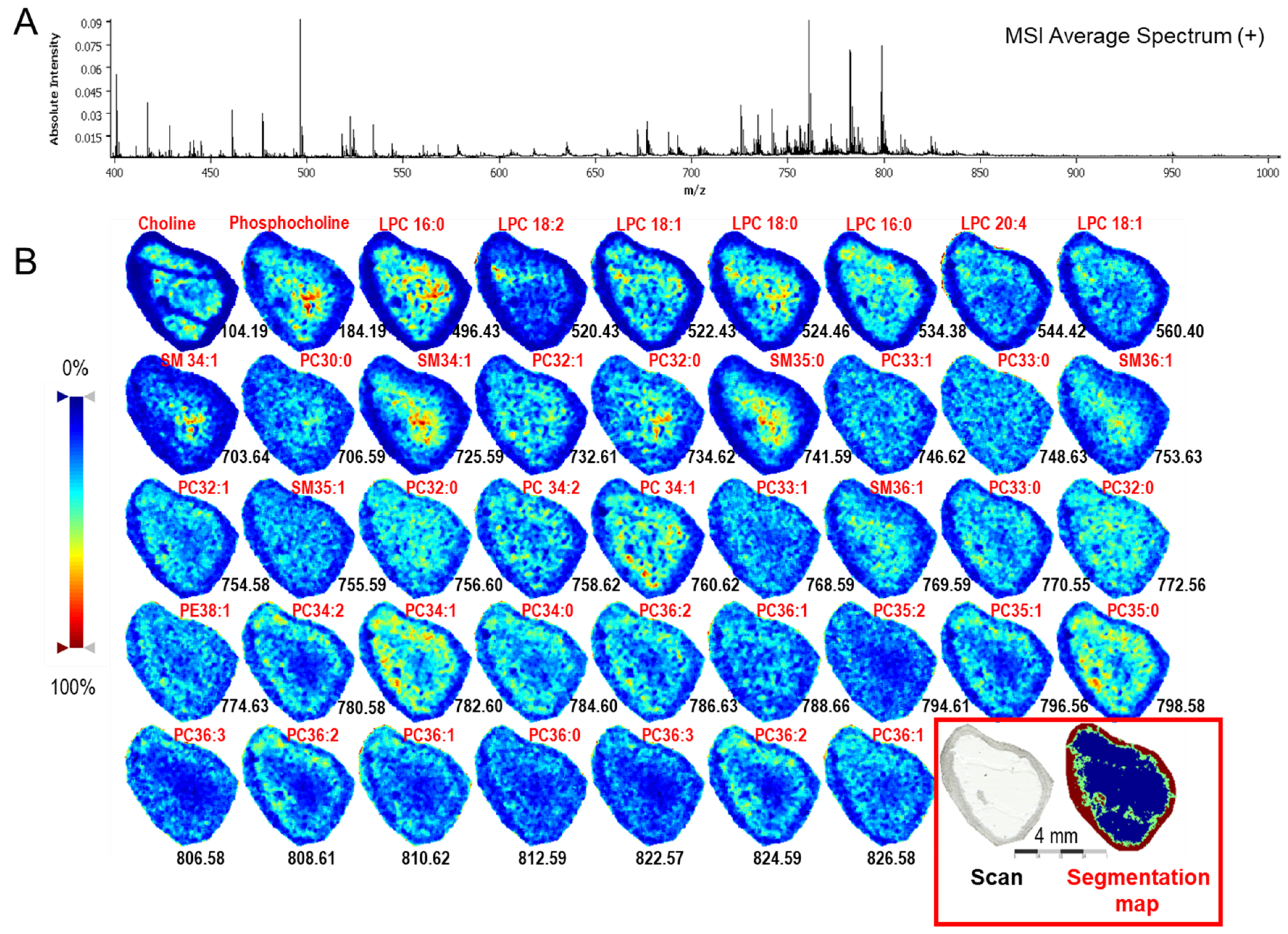 Ijms 19 03261 g003 Ijms 19 03261 g003