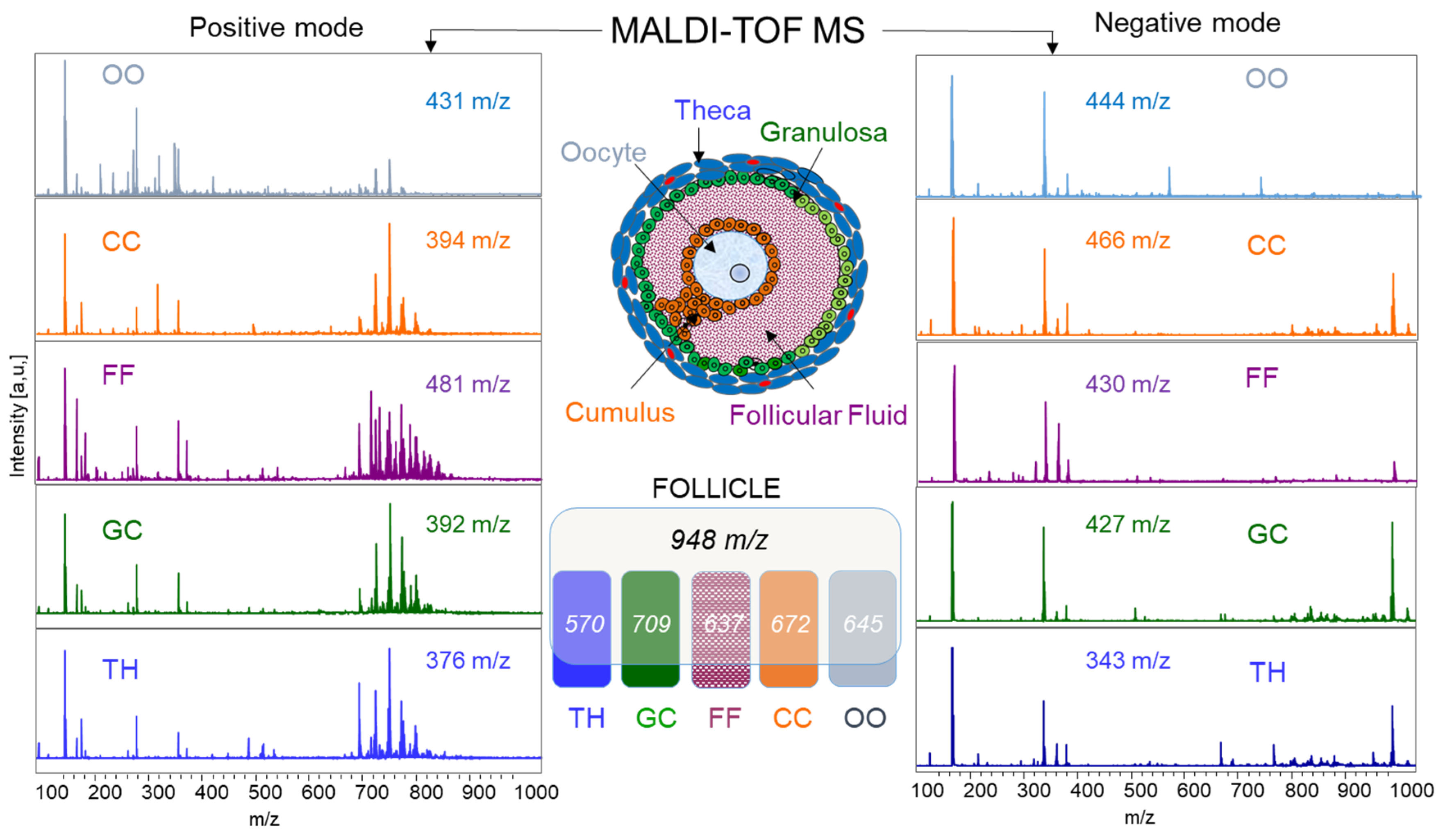 Ijms 19 03261 g004 Ijms 19 03261 g004