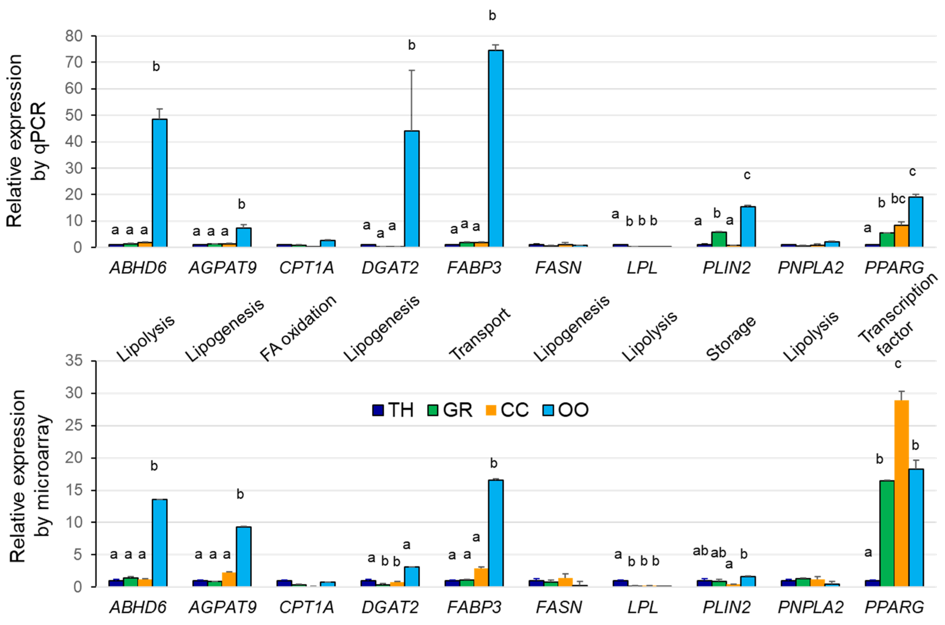 Ijms 19 03261 g006 Ijms 19 03261 g006