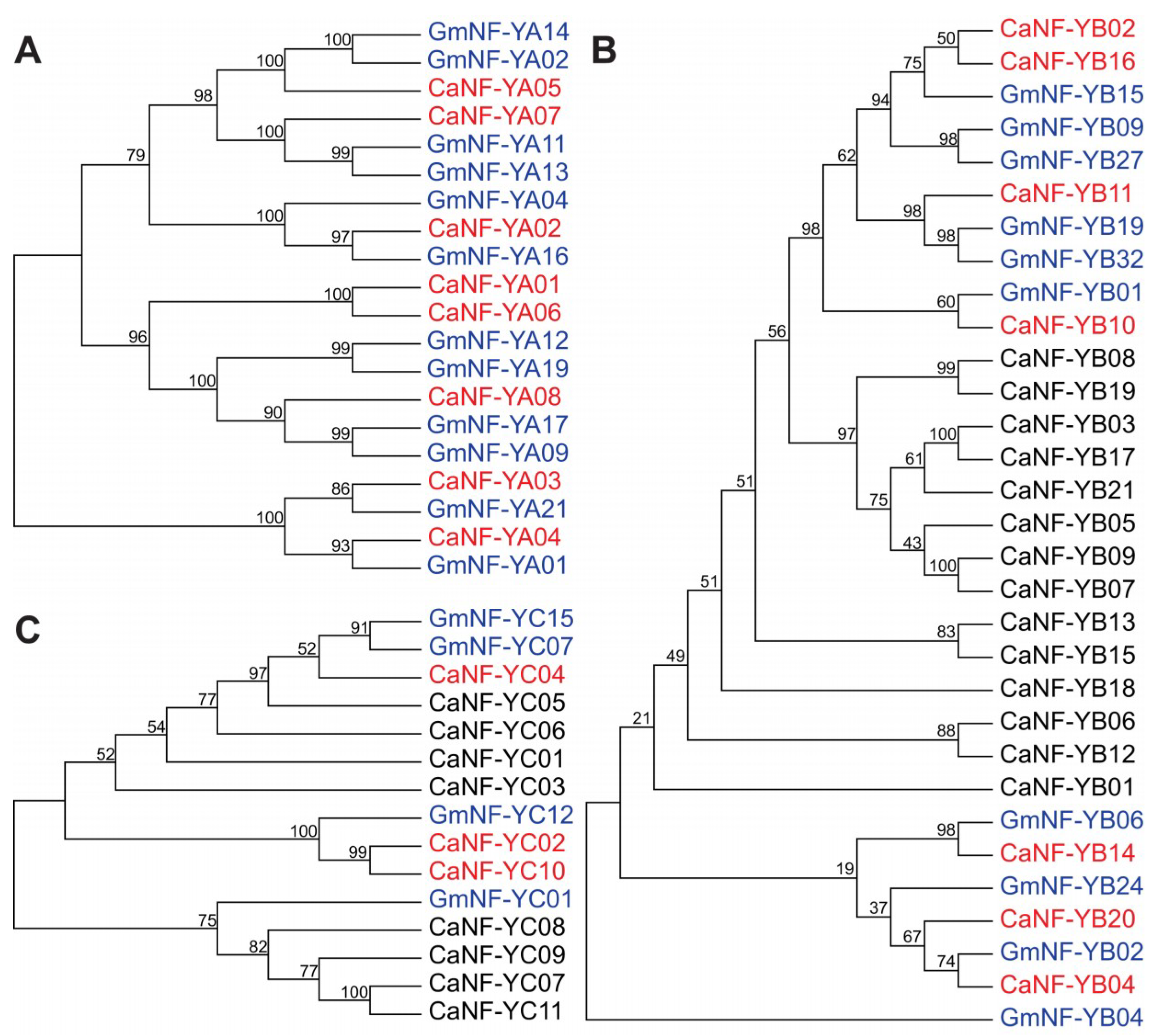 Ijms 19 03290 g002 Ijms 19 03290 g002