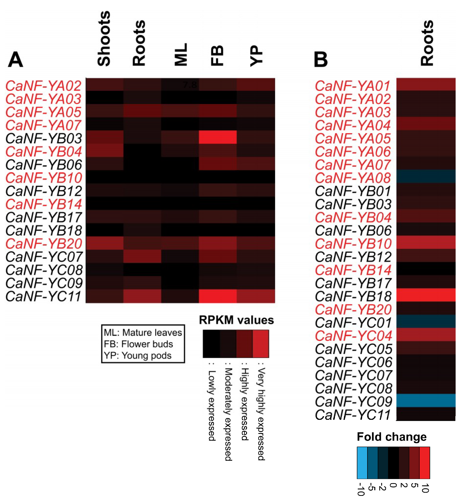 Ijms 19 03290 g003 Ijms 19 03290 g003