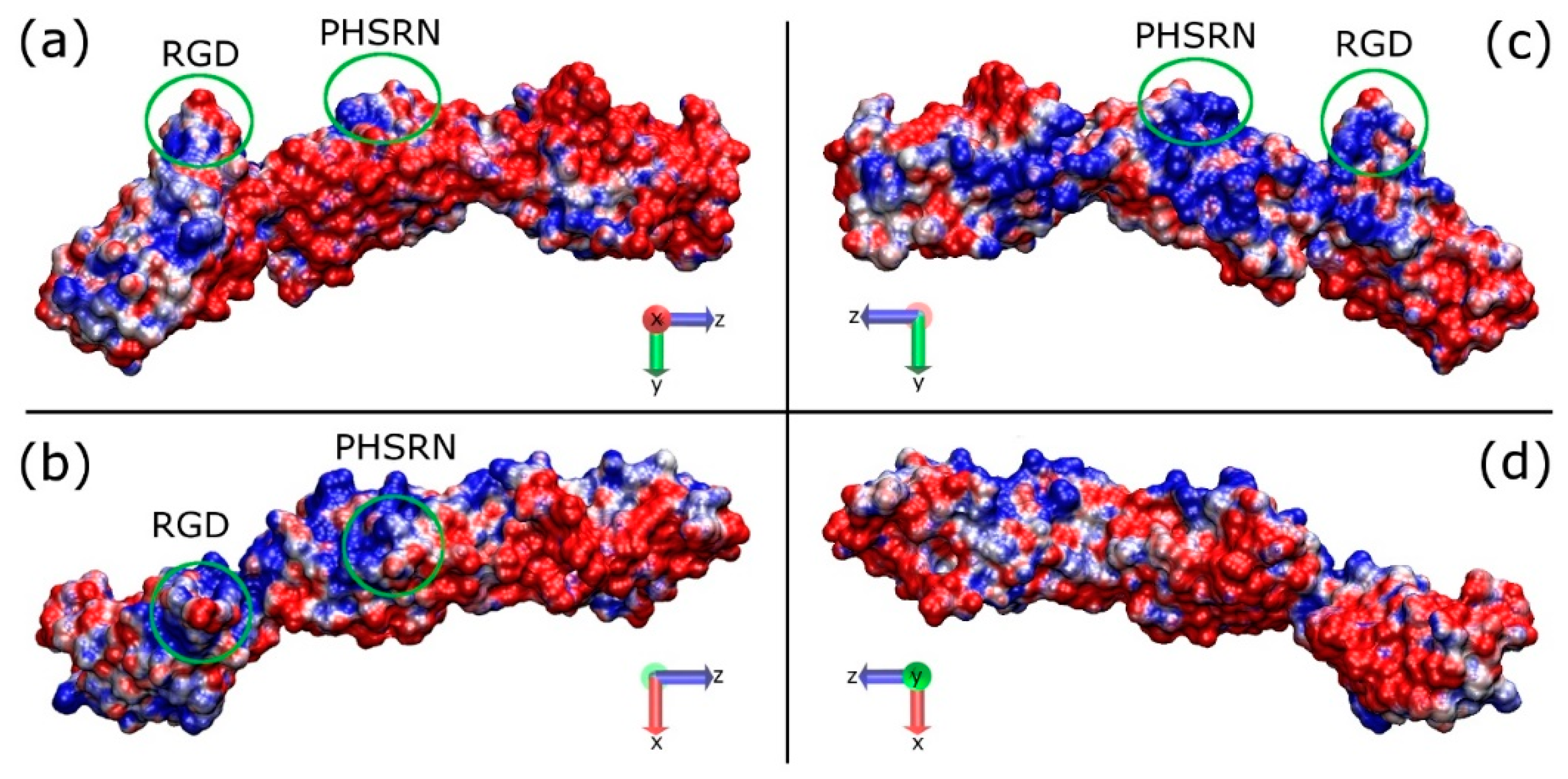 Ijms 19 03321 g002 Ijms 19 03321 g002