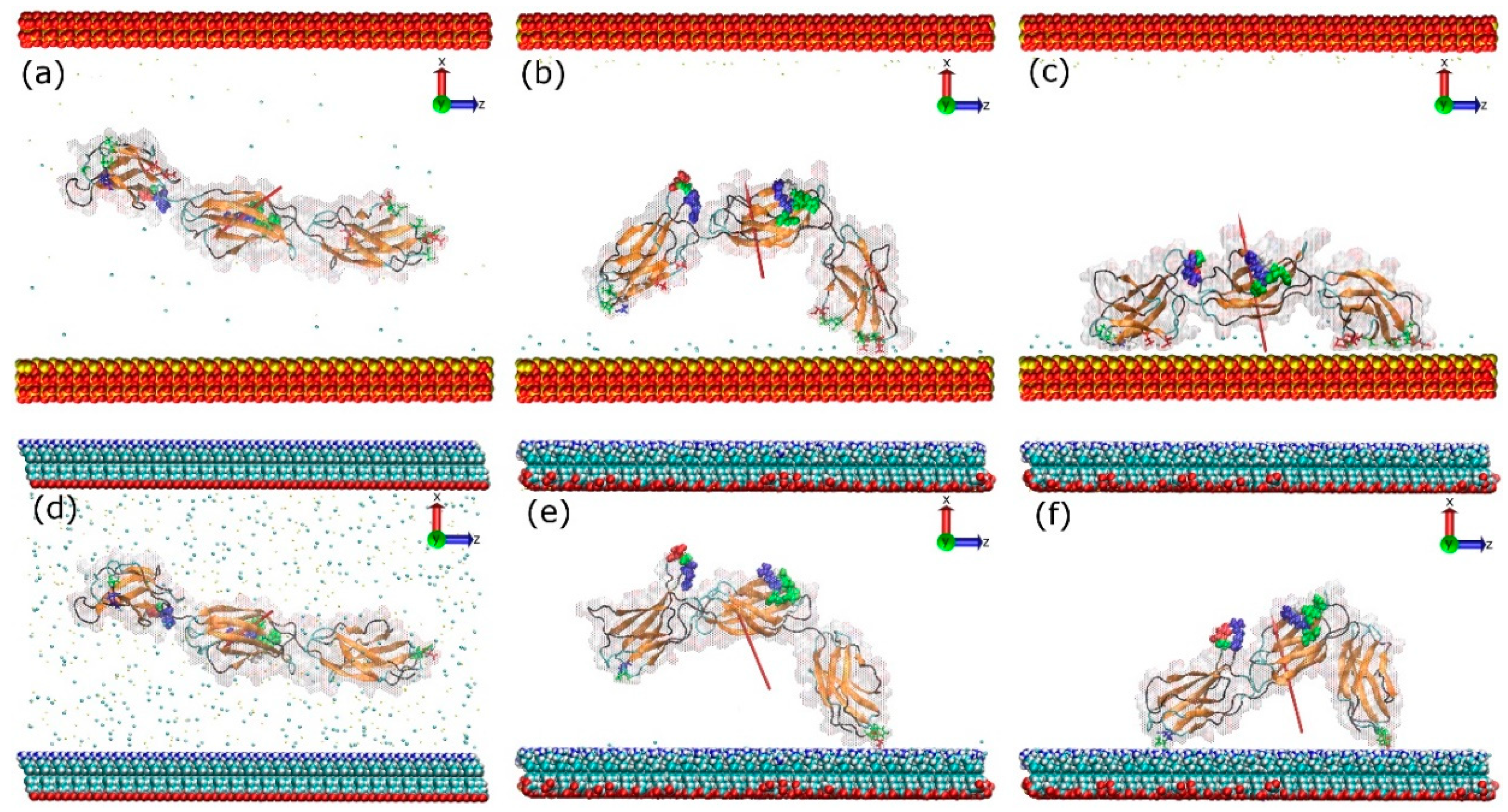 Ijms 19 03321 g003 Ijms 19 03321 g003