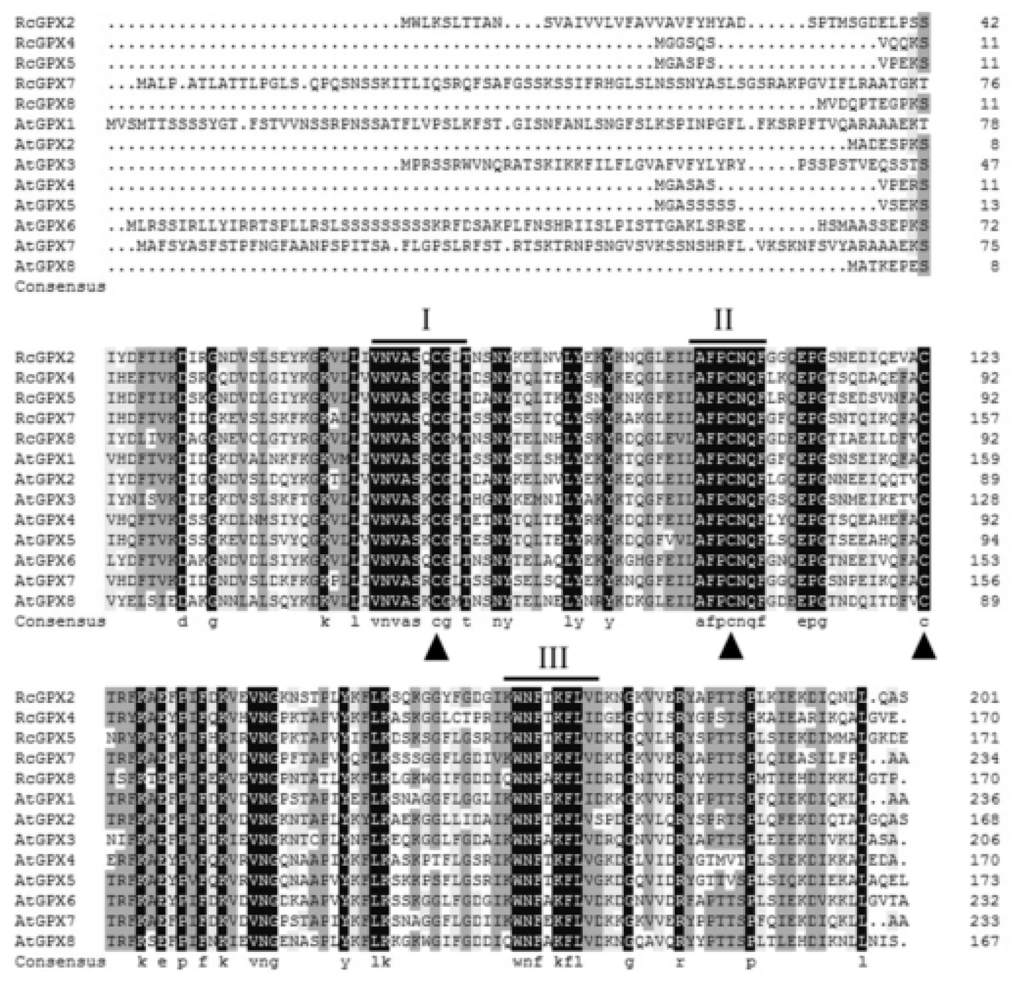 Ijms 19 03329 g001 Ijms 19 03329 g001